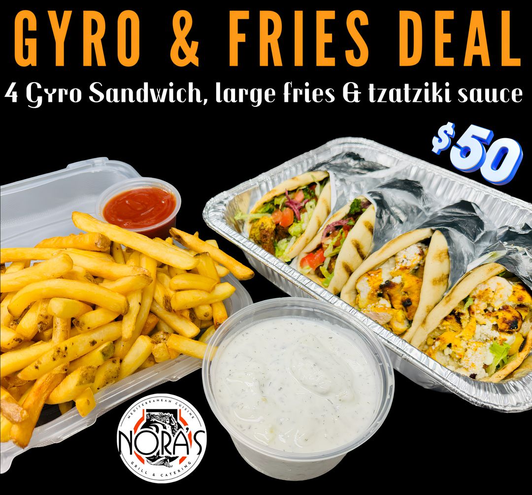 4 GYRO & FRIES PACKAGE