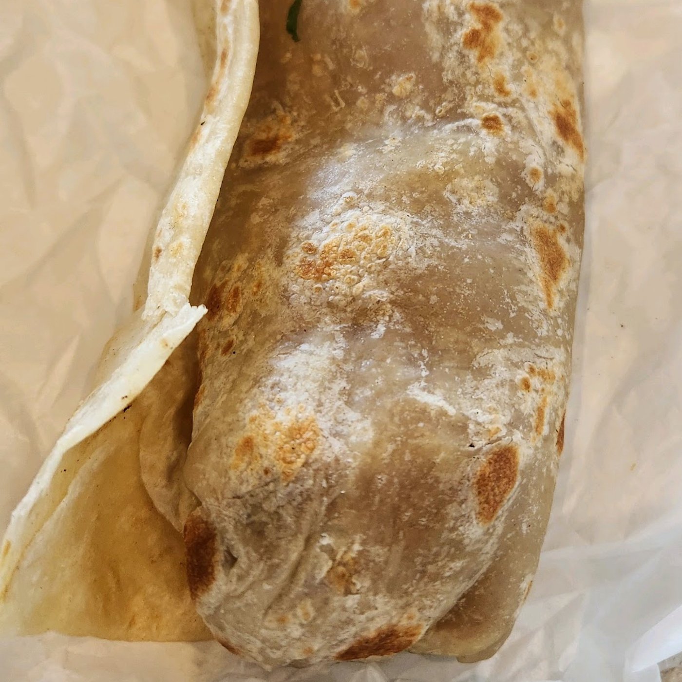 Chile Relleno Burrito.