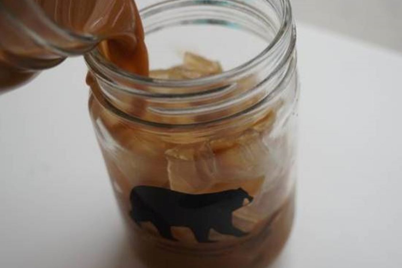 Wandering Bear Cold Brew Coffee