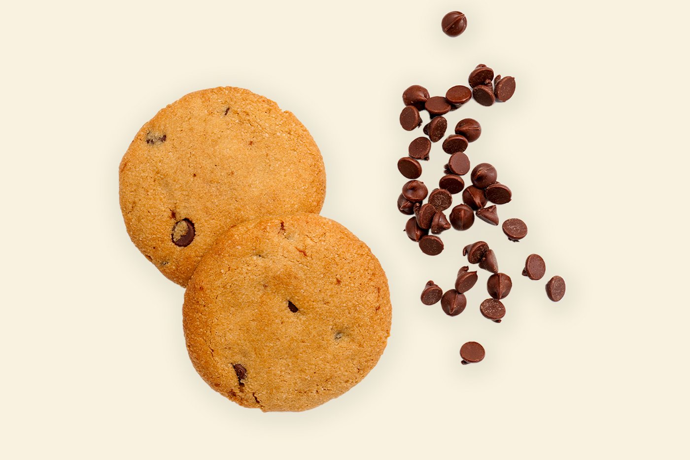 Paleo Soft Baked Chocolate Chip Cookie
