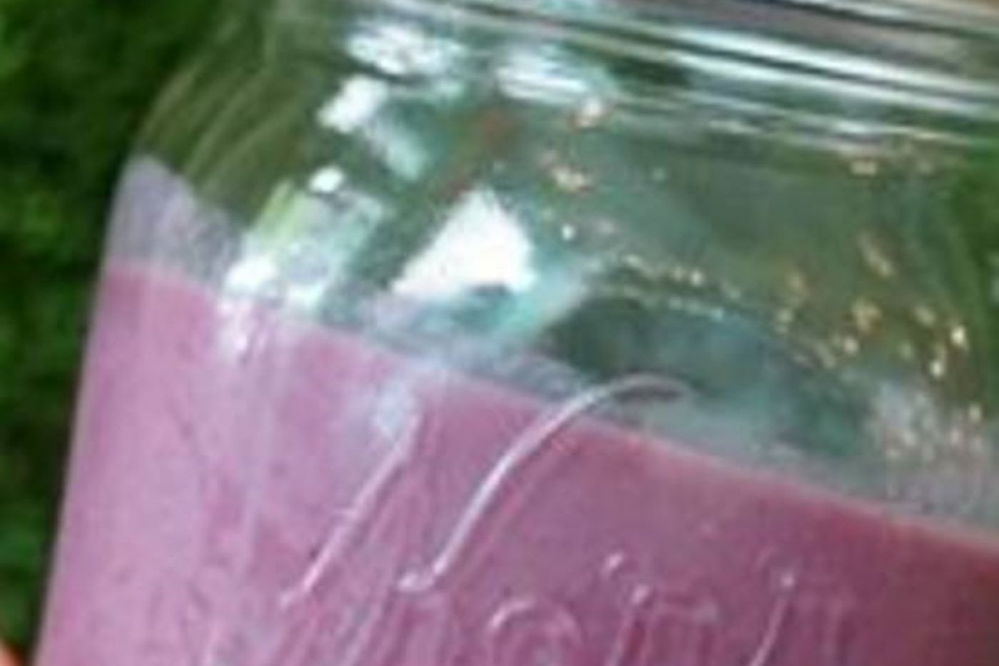 The Rosebird Smoothie