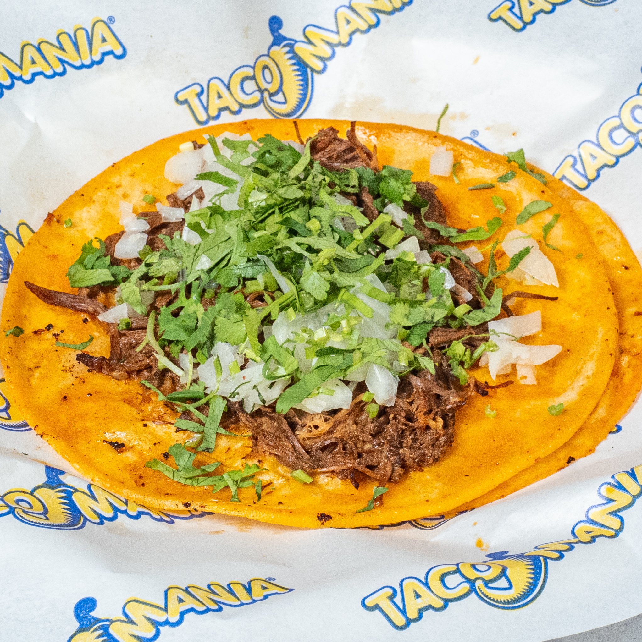 Birria Taco.