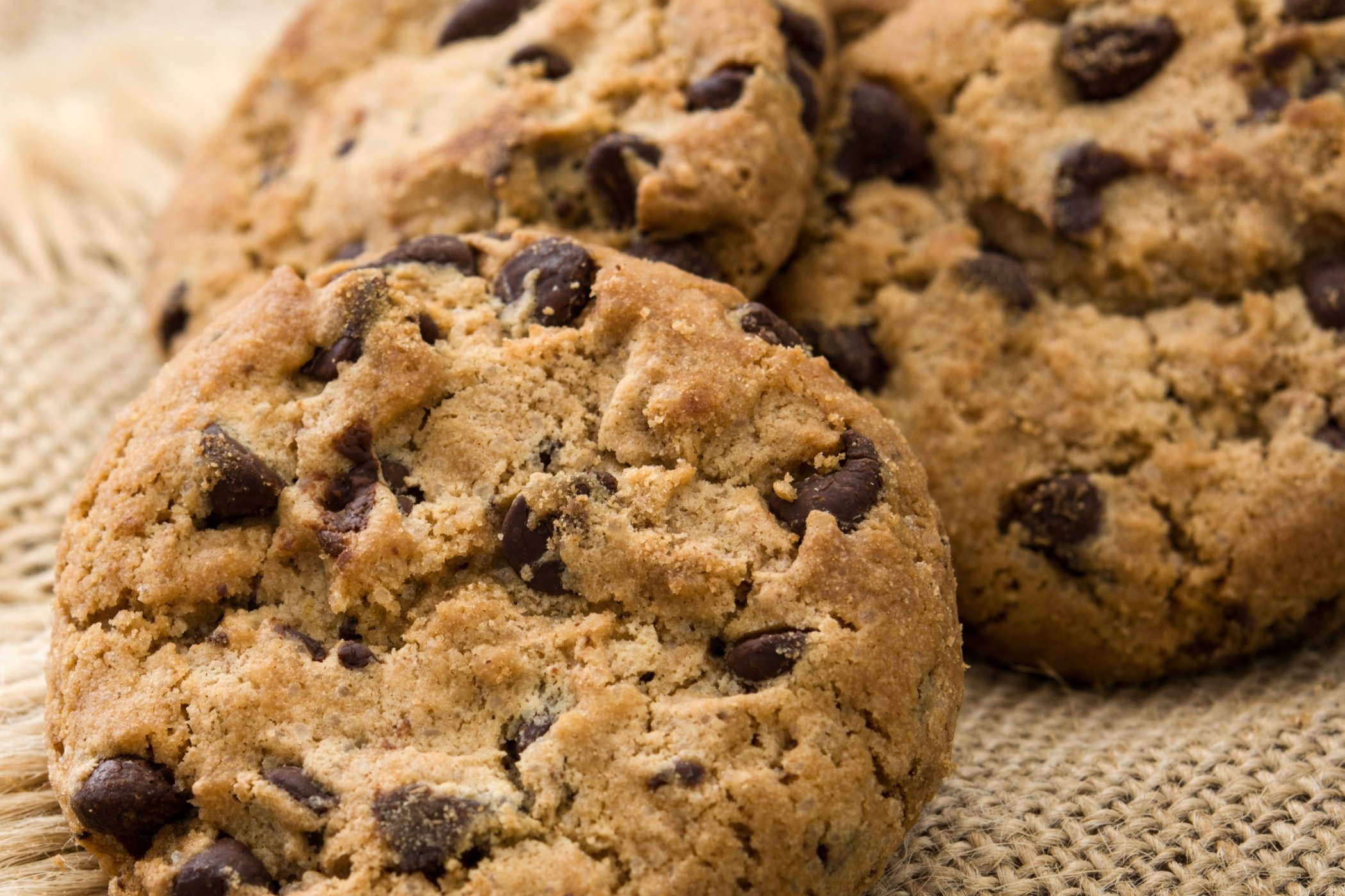 Chocolate Chip Cookie