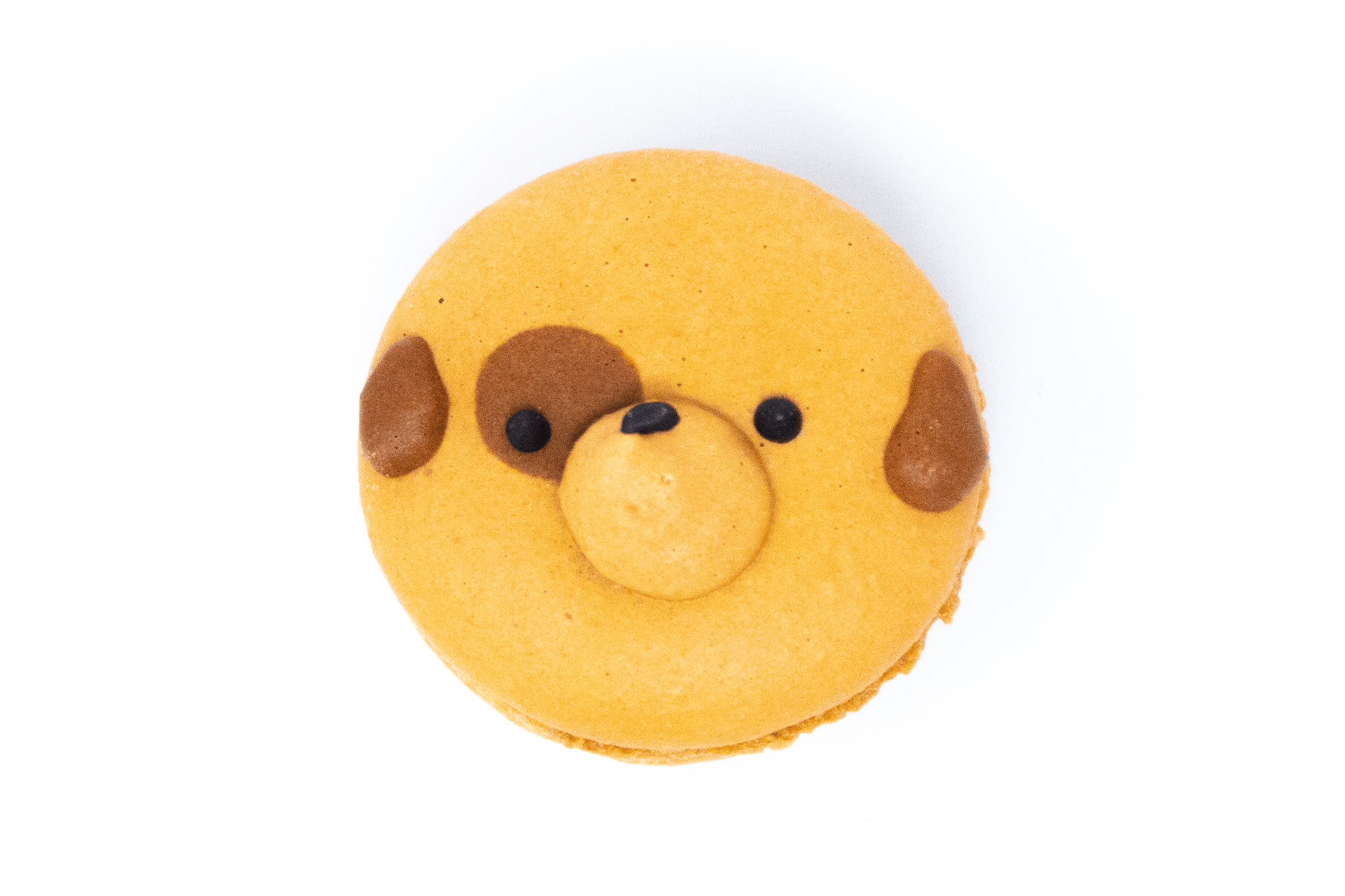 Character Macaron