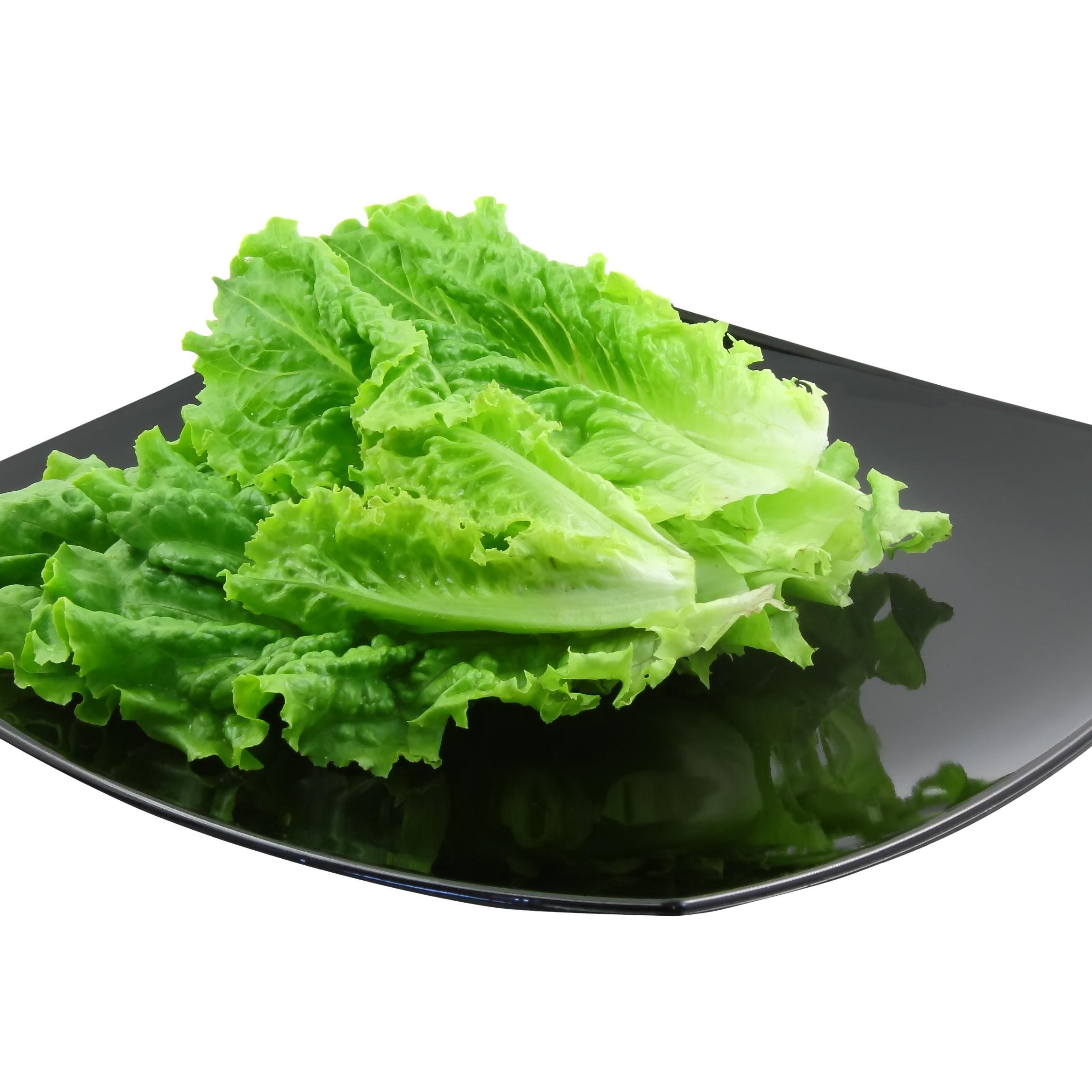 Lettuce.