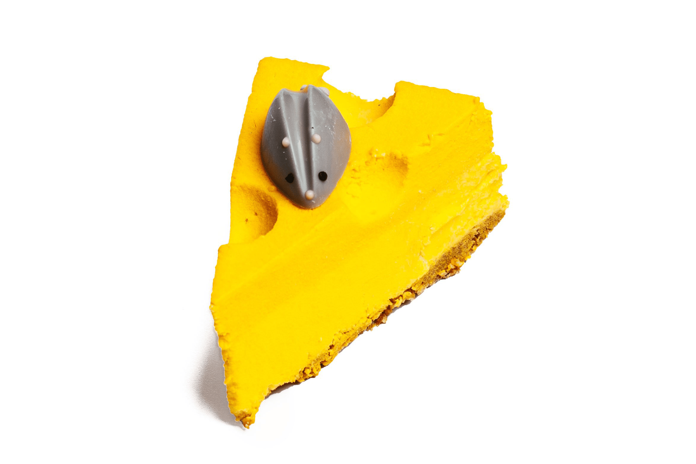 Cheesecake Fromage