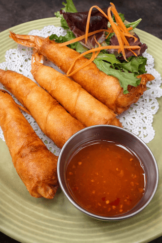 Pinky in the Blanket(5)