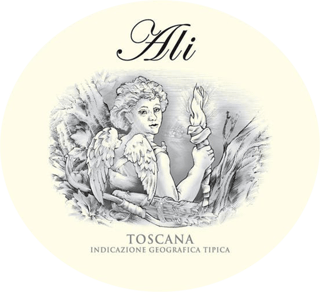 Donna Laura Ali 2021 Red Wine - Italy