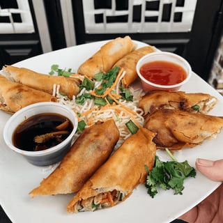 Spring Rolls (4)