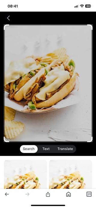 Veggie Jackfruit Tikka Cheesesteak