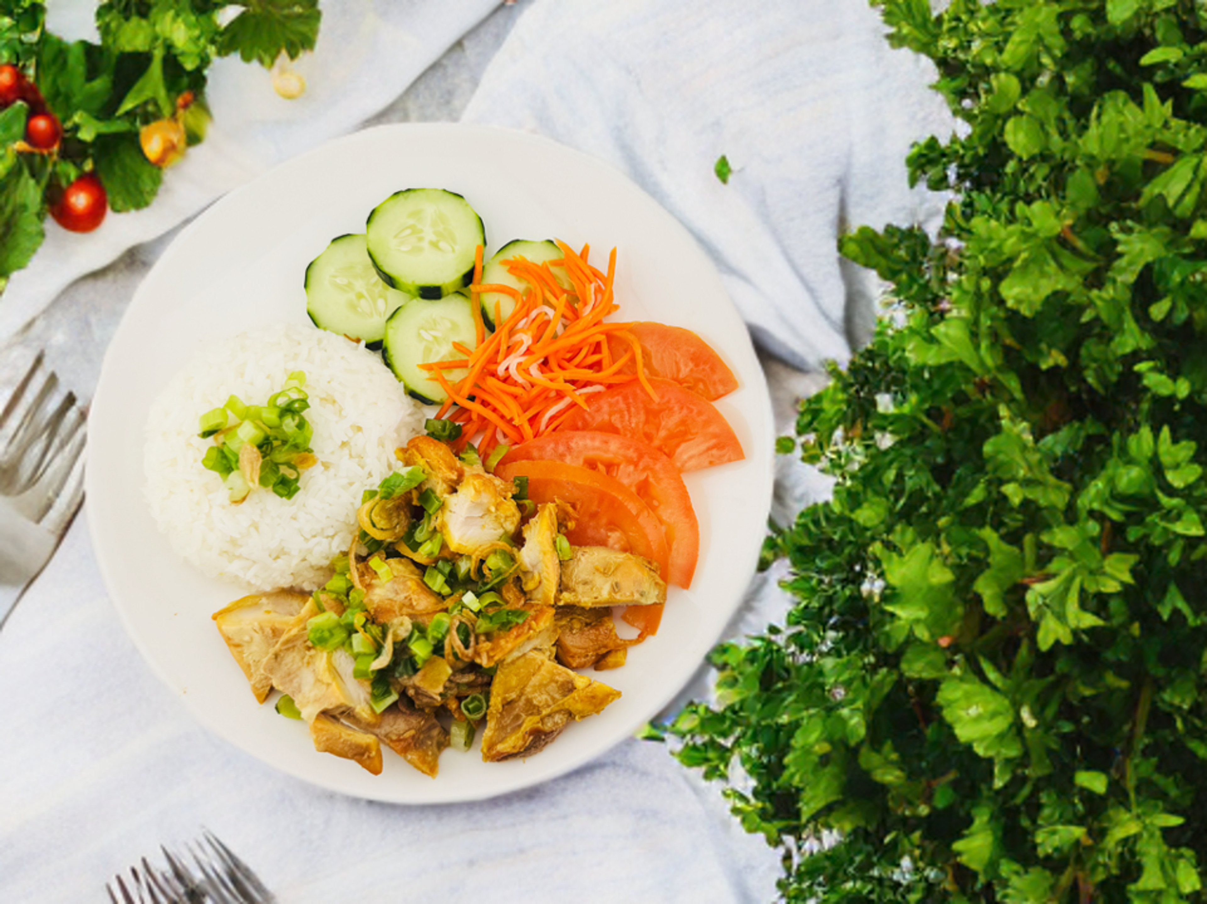 Grilled Chicken with Rice.