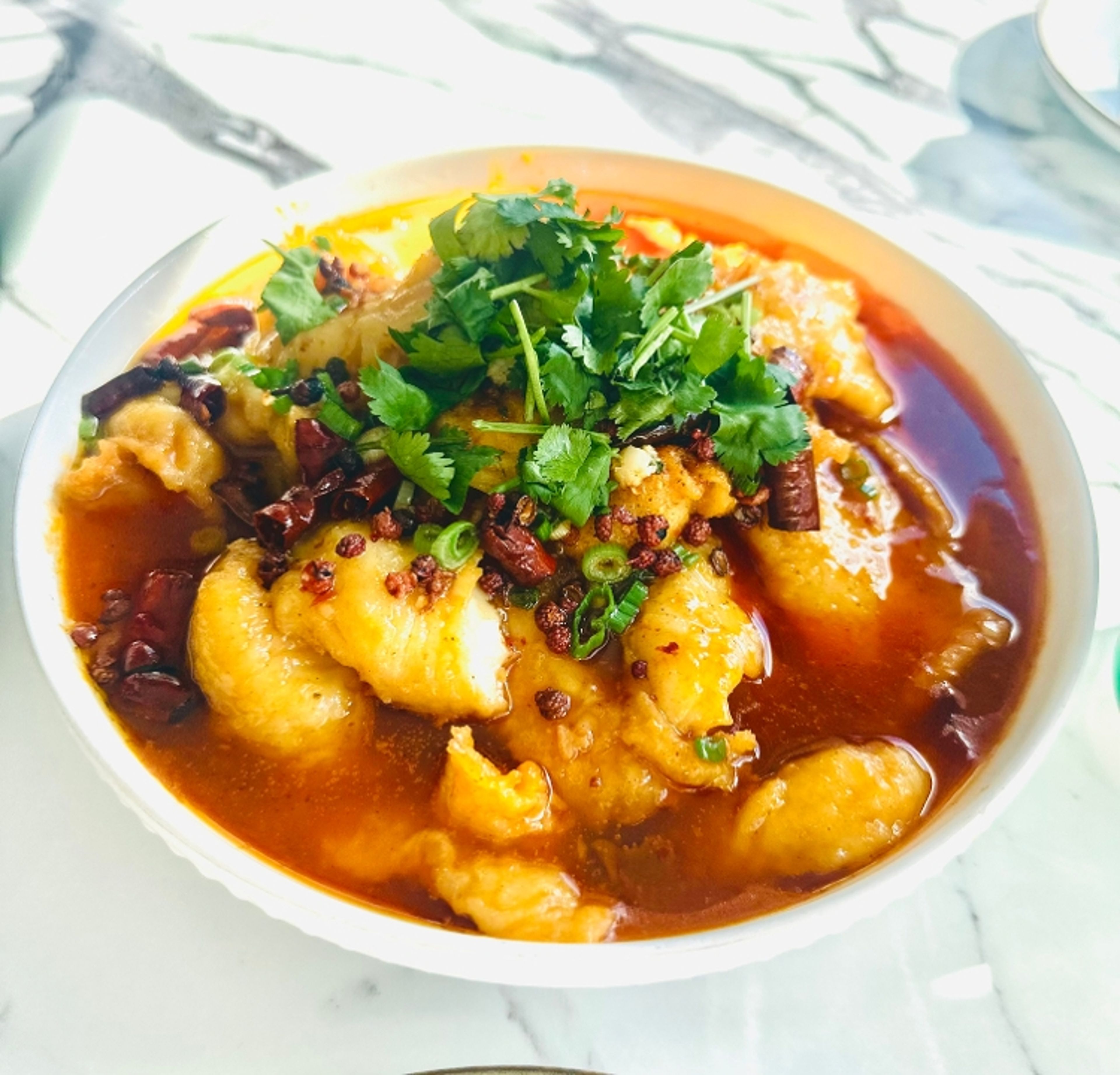 Spicy Poached Fish 水煮鱼 🌶️.