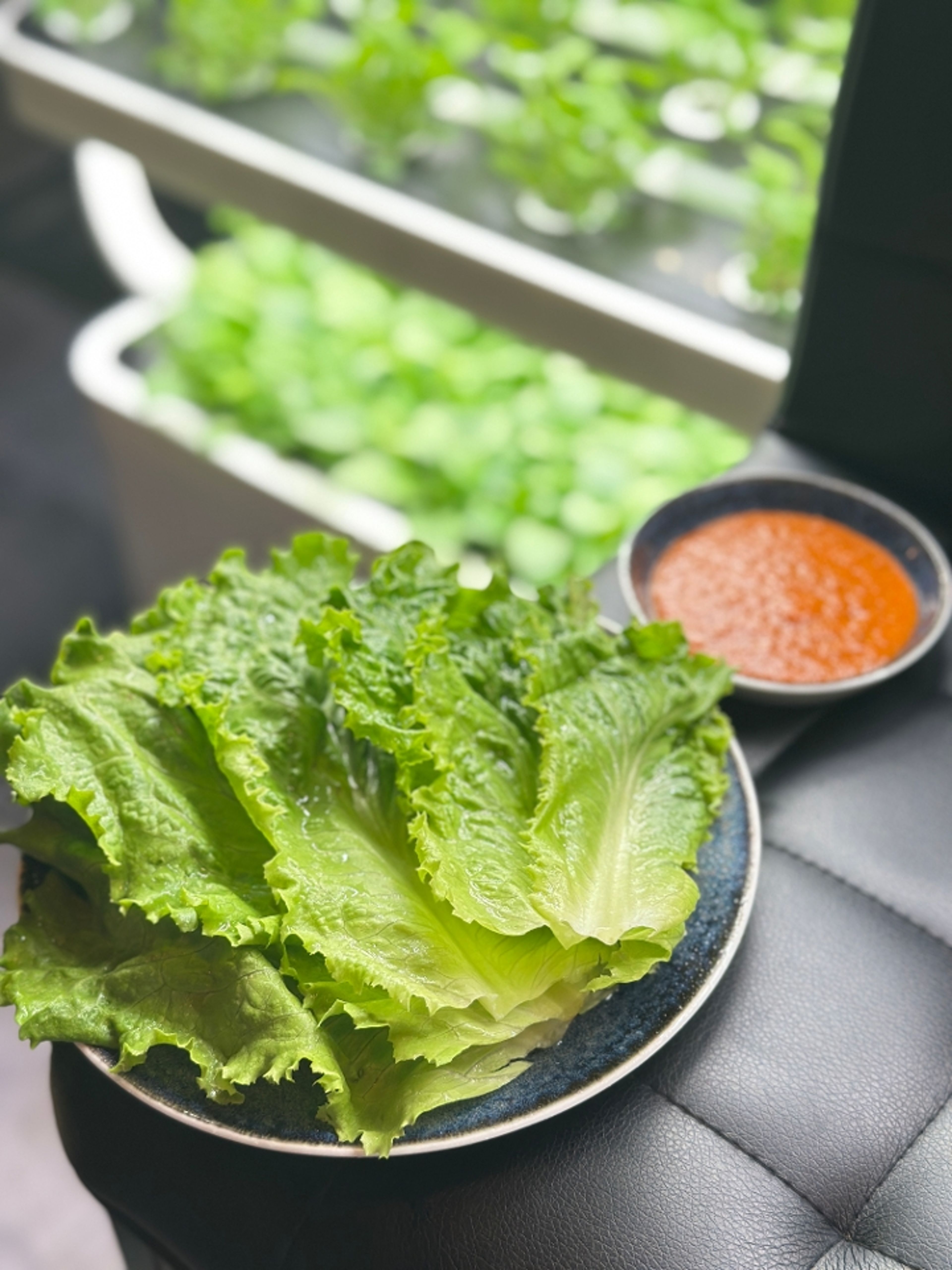 SSAM (lettuce & ssamjang).