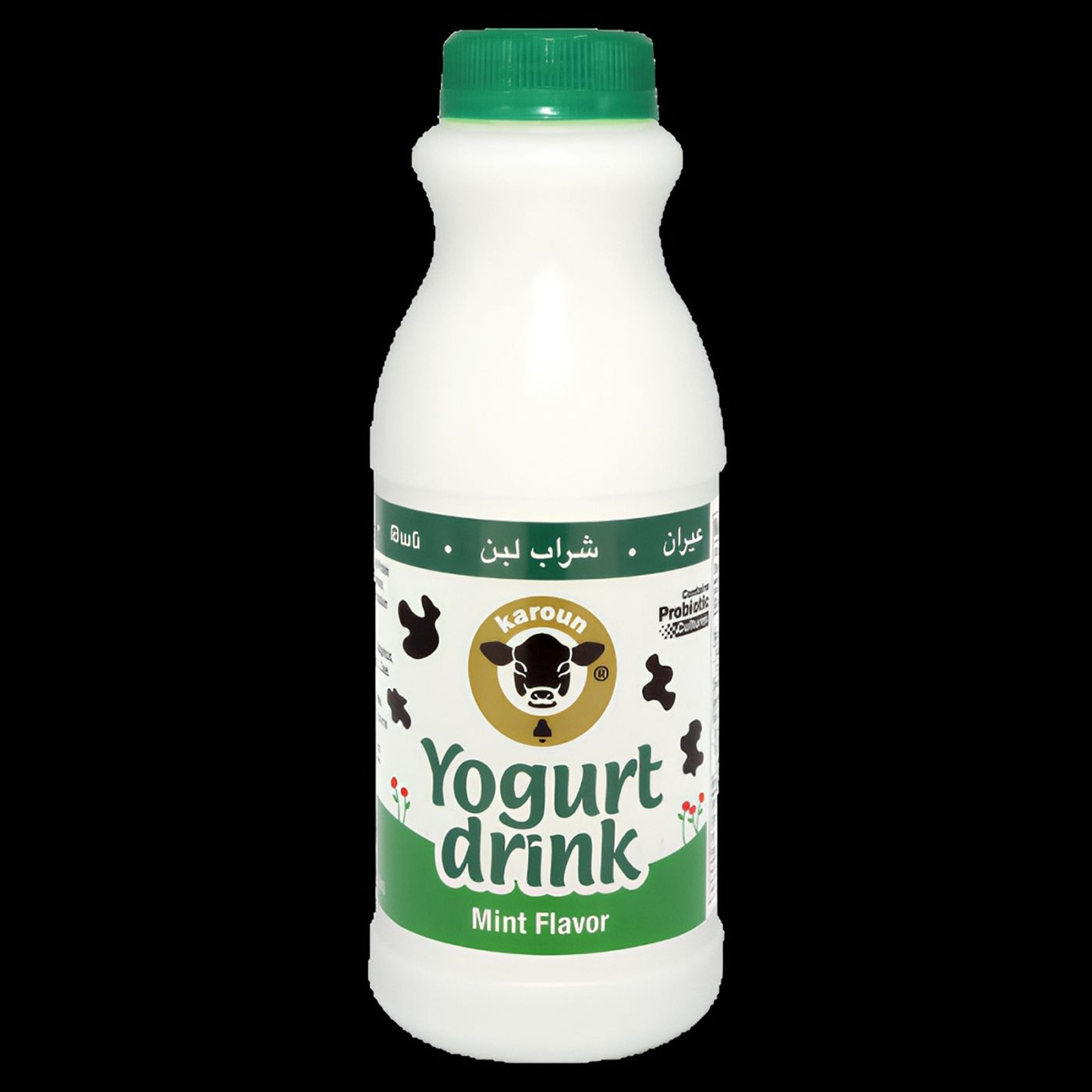 Ayran Yogurt Drink (Mint Flavor).