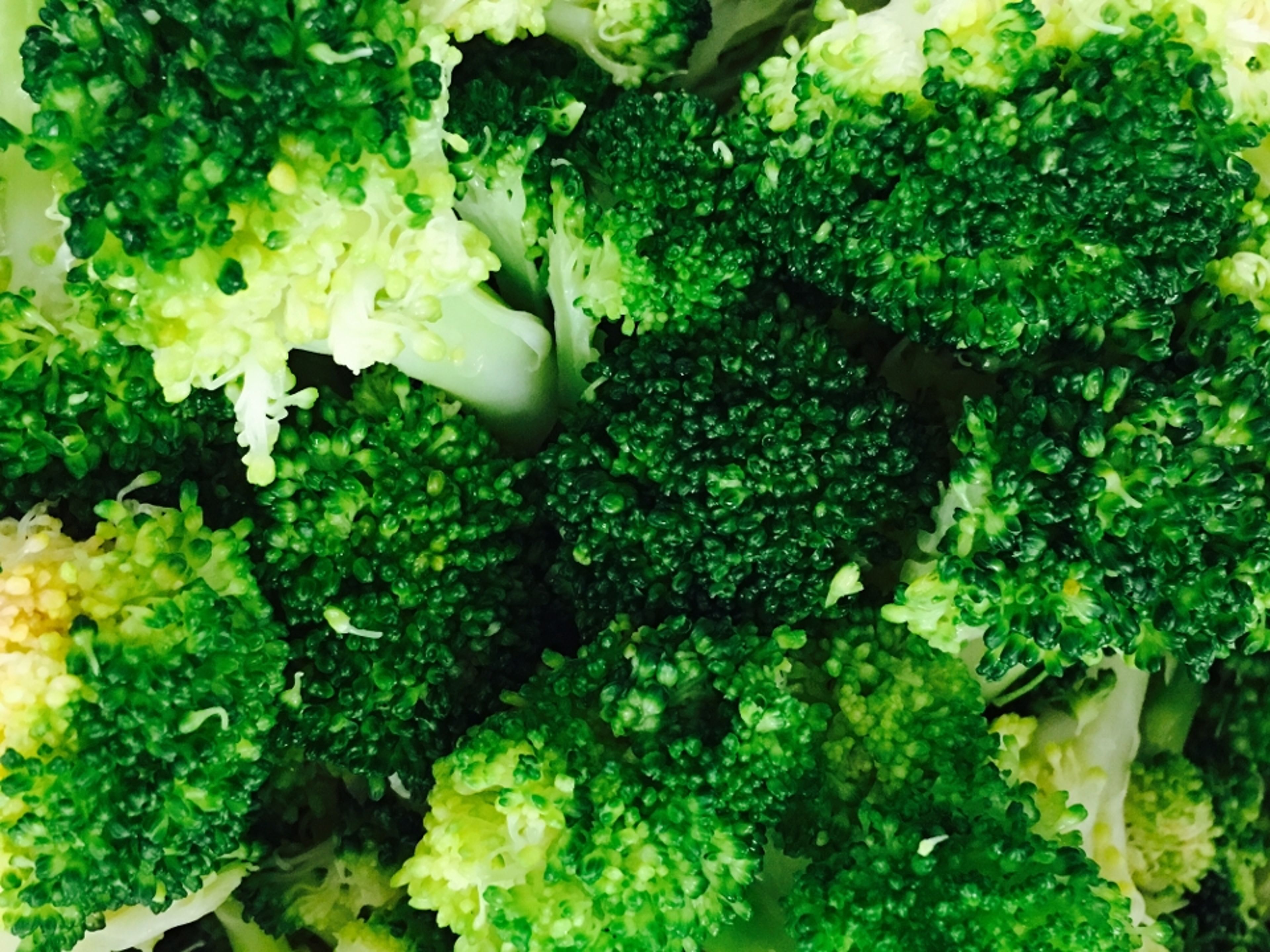 Steamed Broccoli.