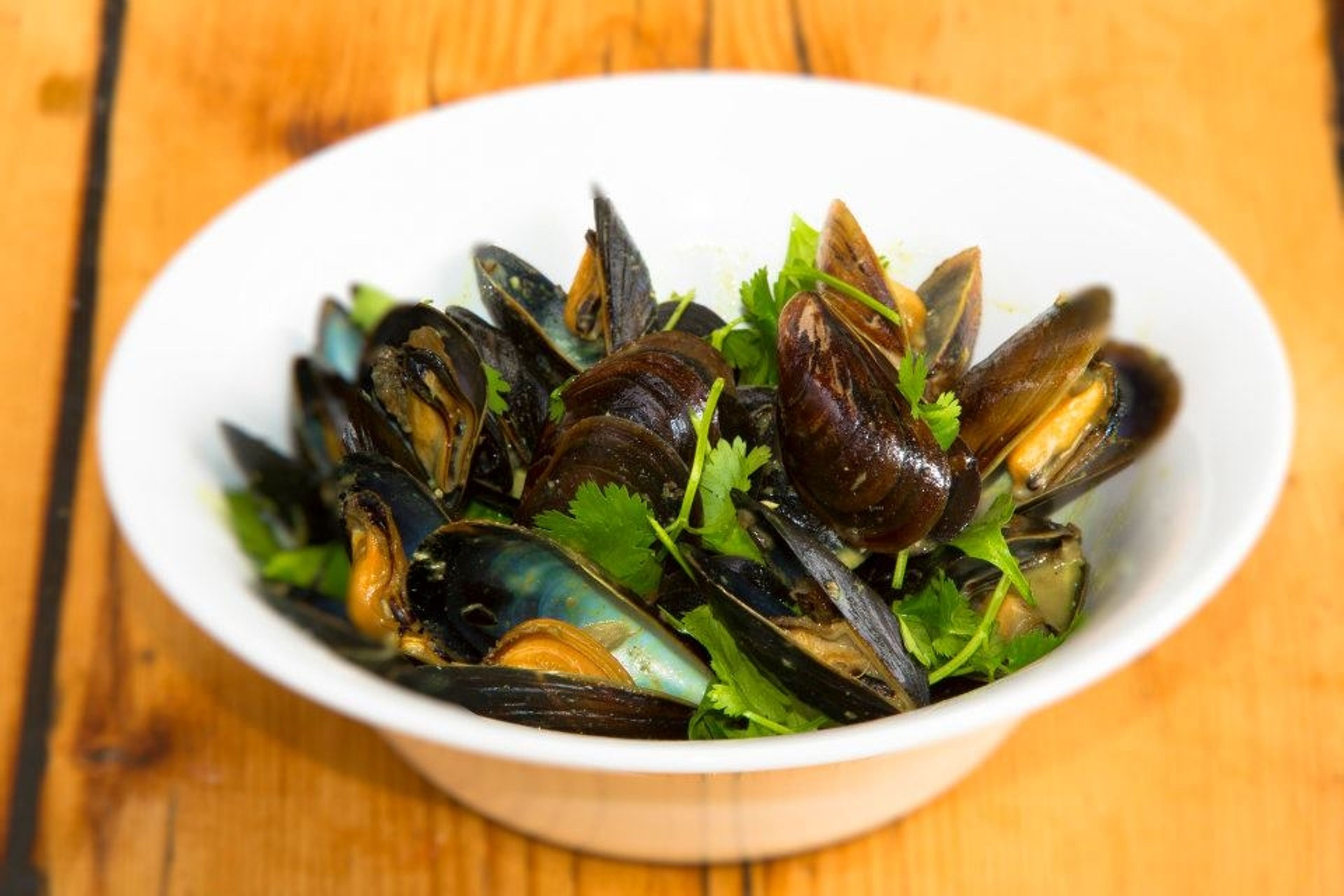 Steam Mussels Lunch.