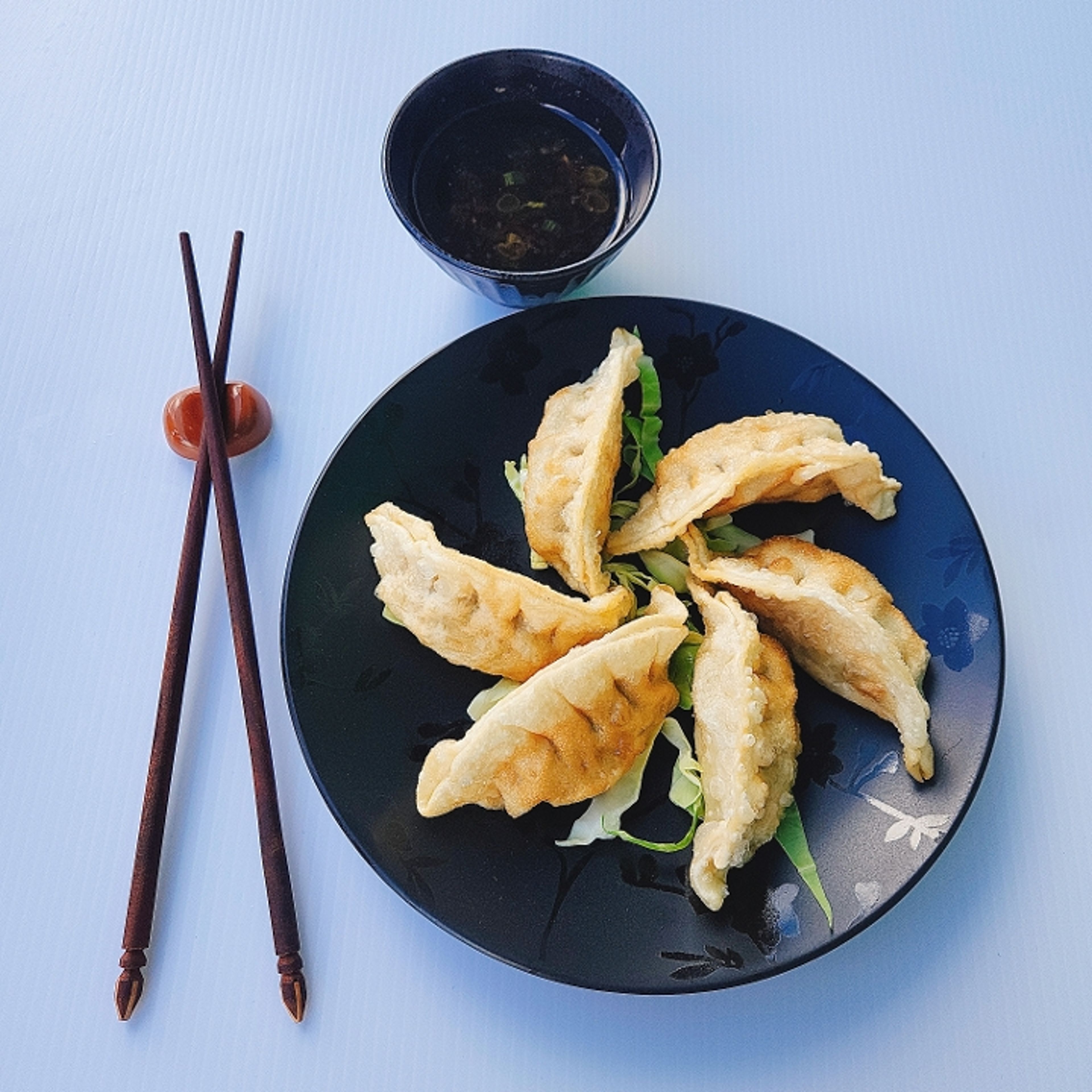 Pork Pot Stickers (6).