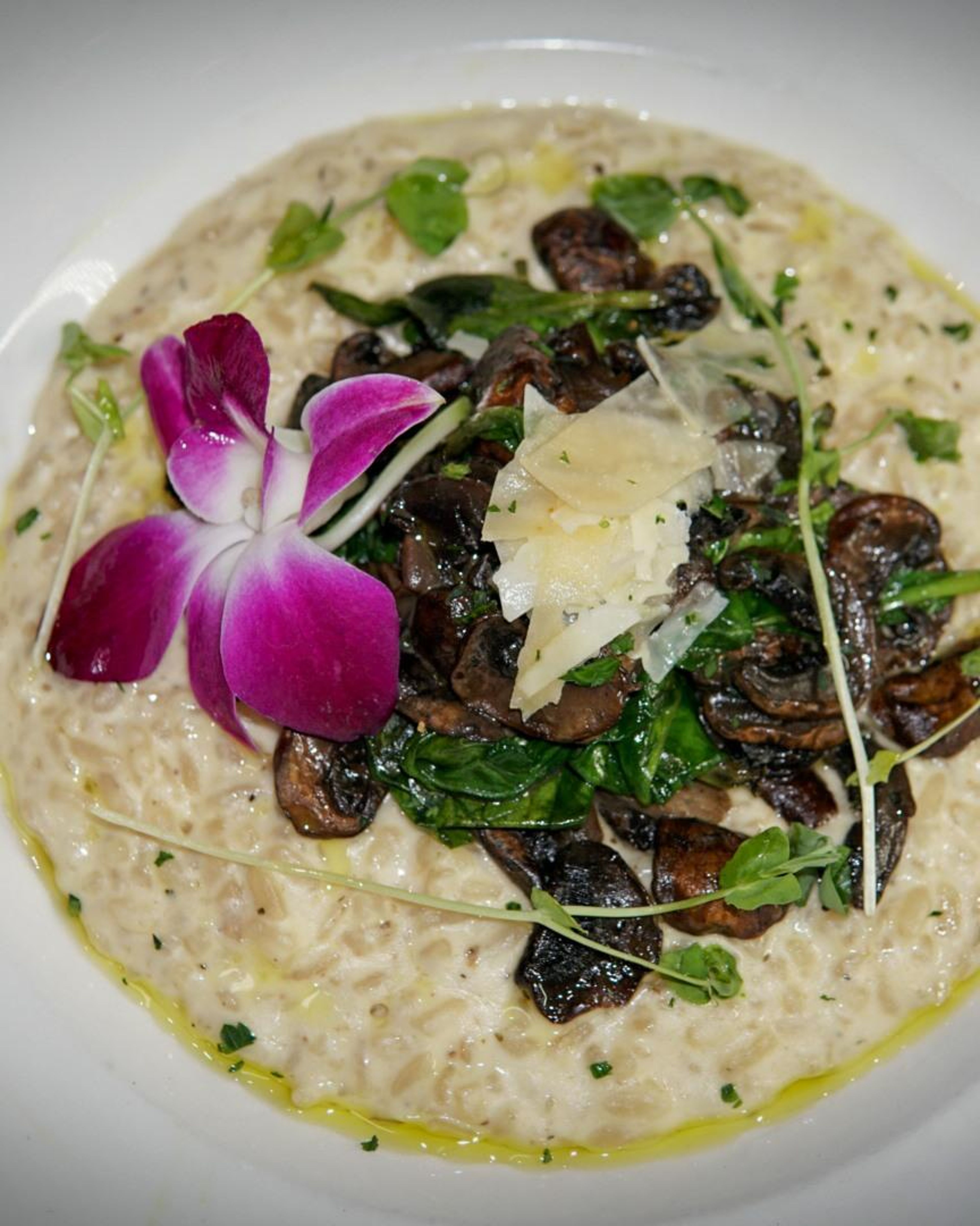 Wild Mushroom Risotto.