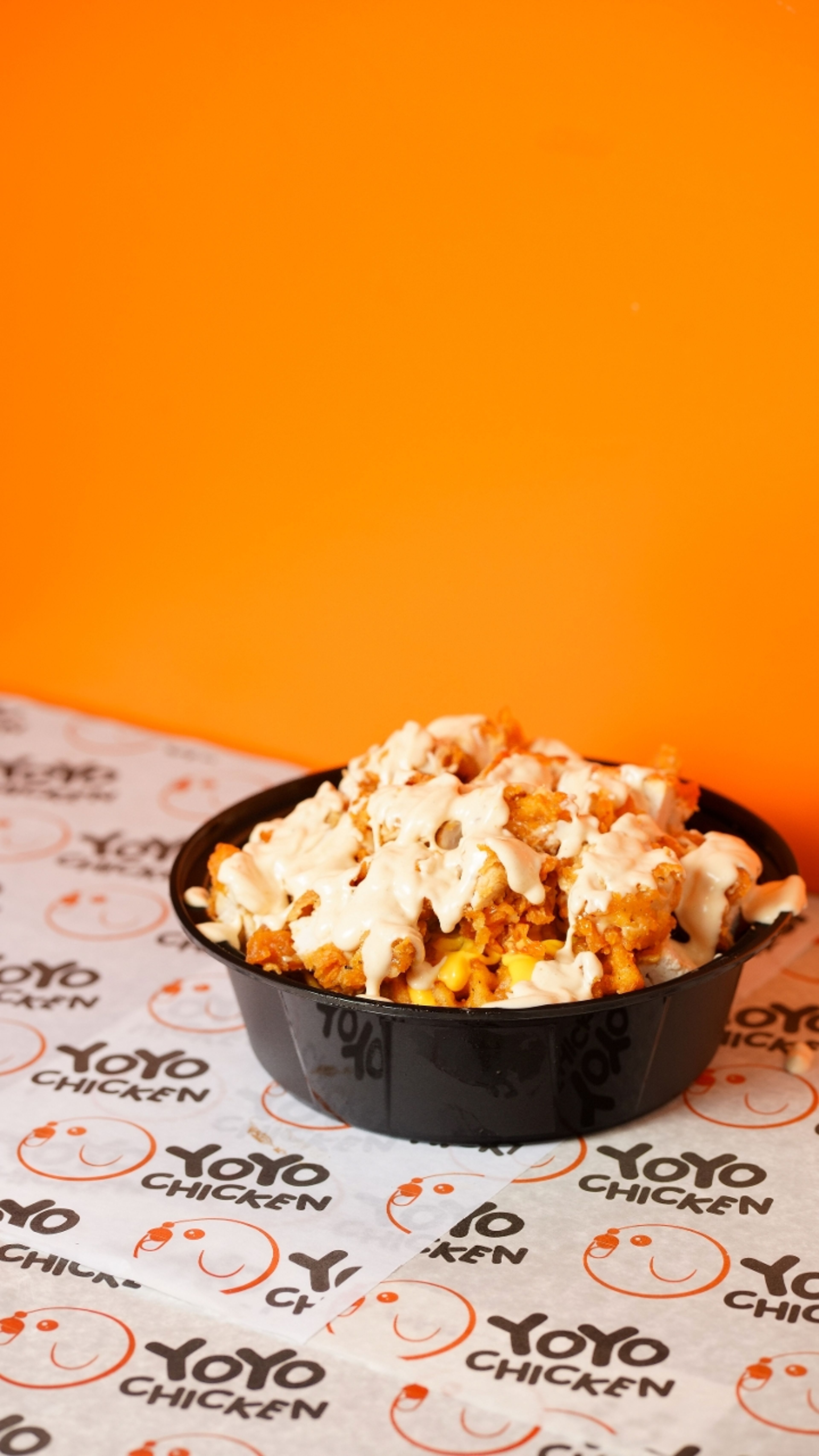 YoYo Loaded Chicken Fries.