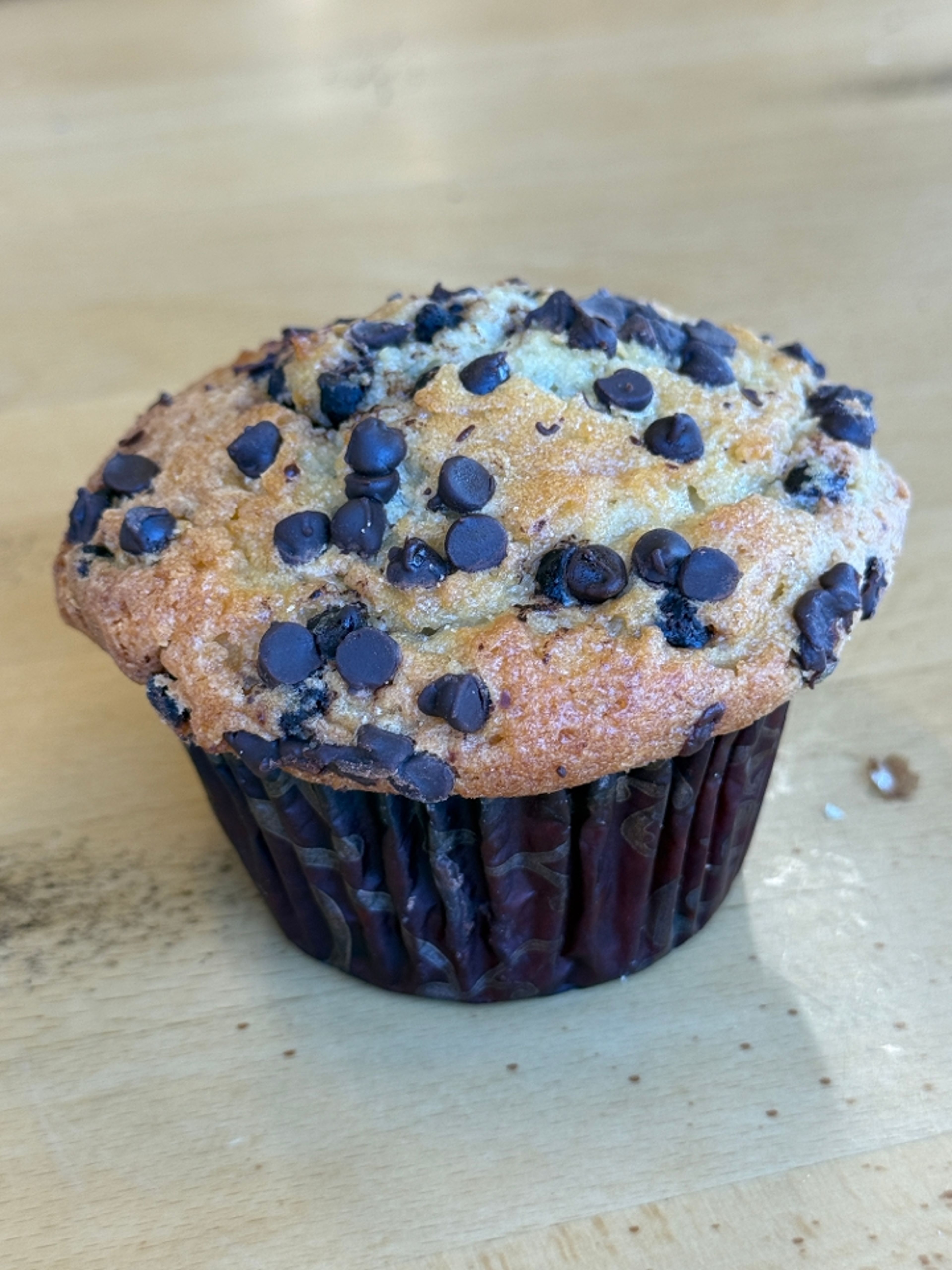 Chocolate Chip Muffin.