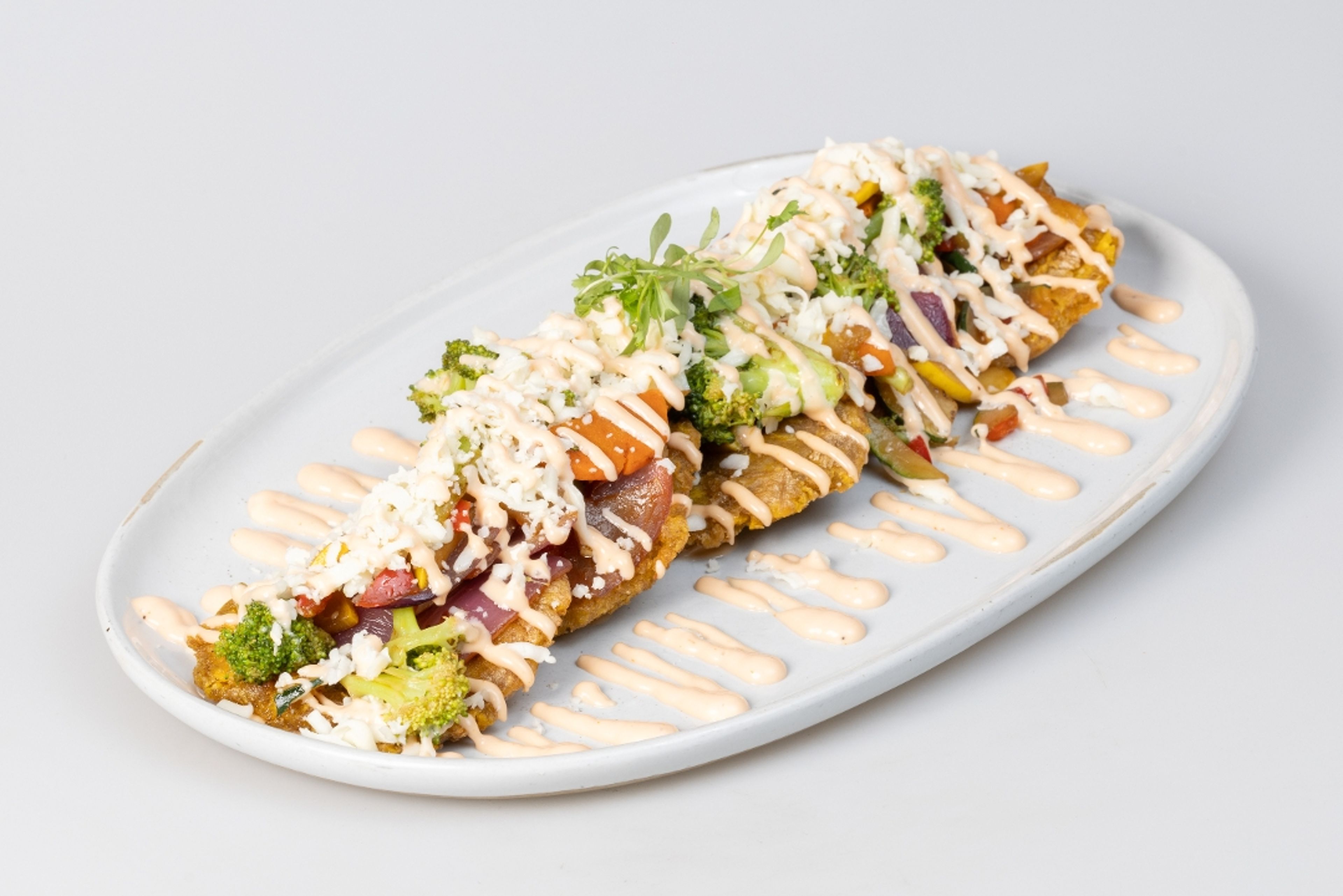 Fried Green Plantains with Vegetables.