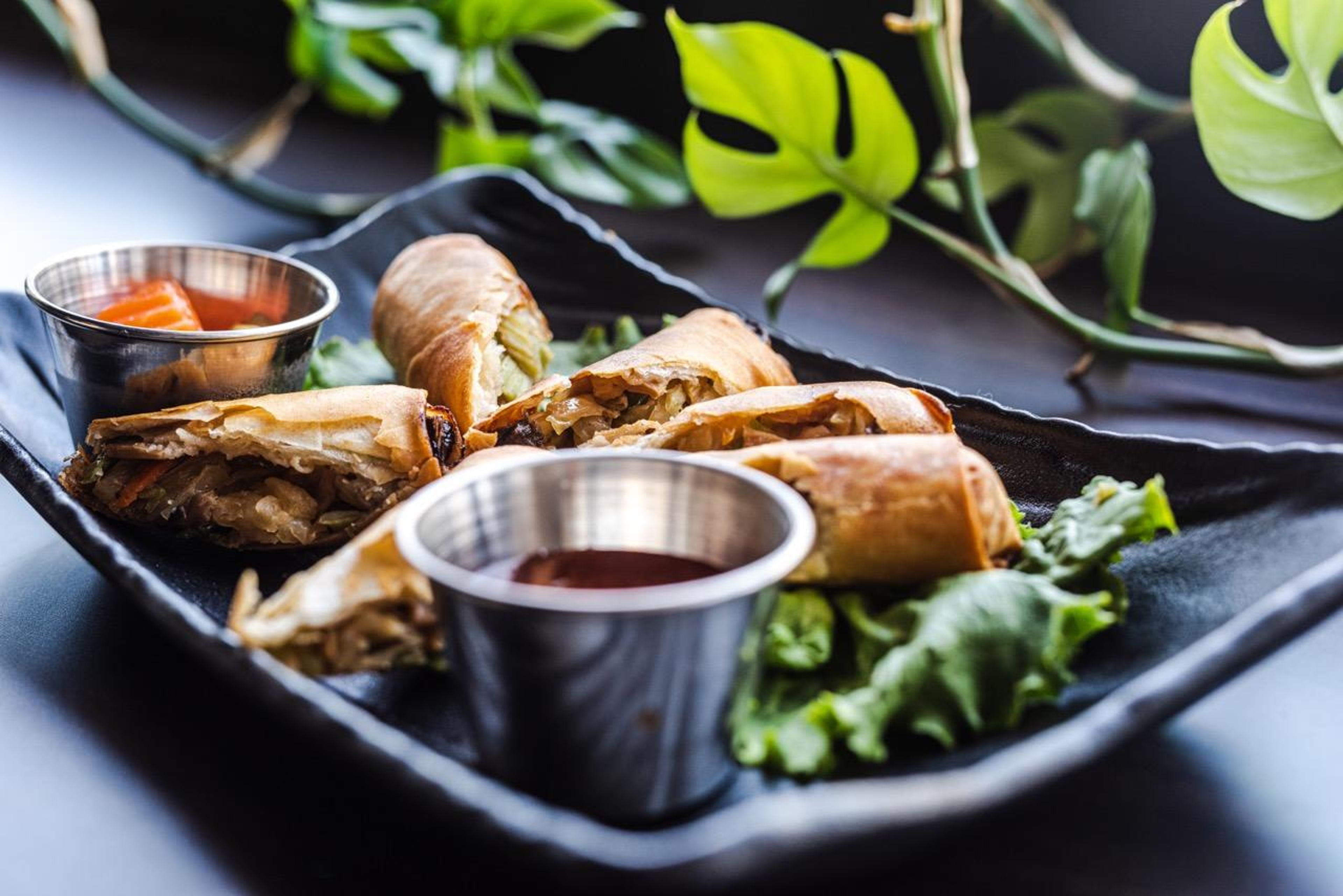 Vegetable Spring Rolls (3).