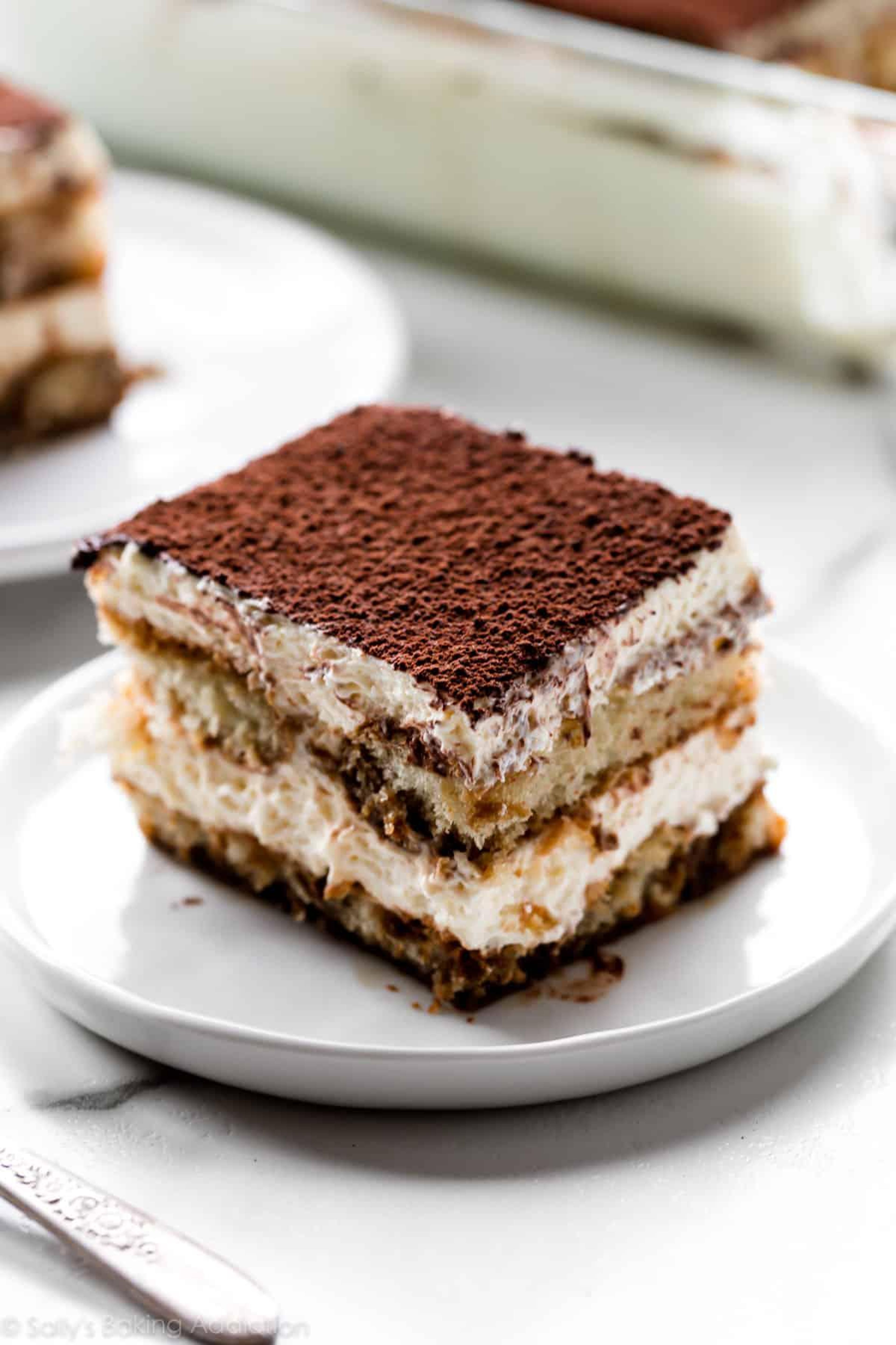 TIRAMISU SLICE.