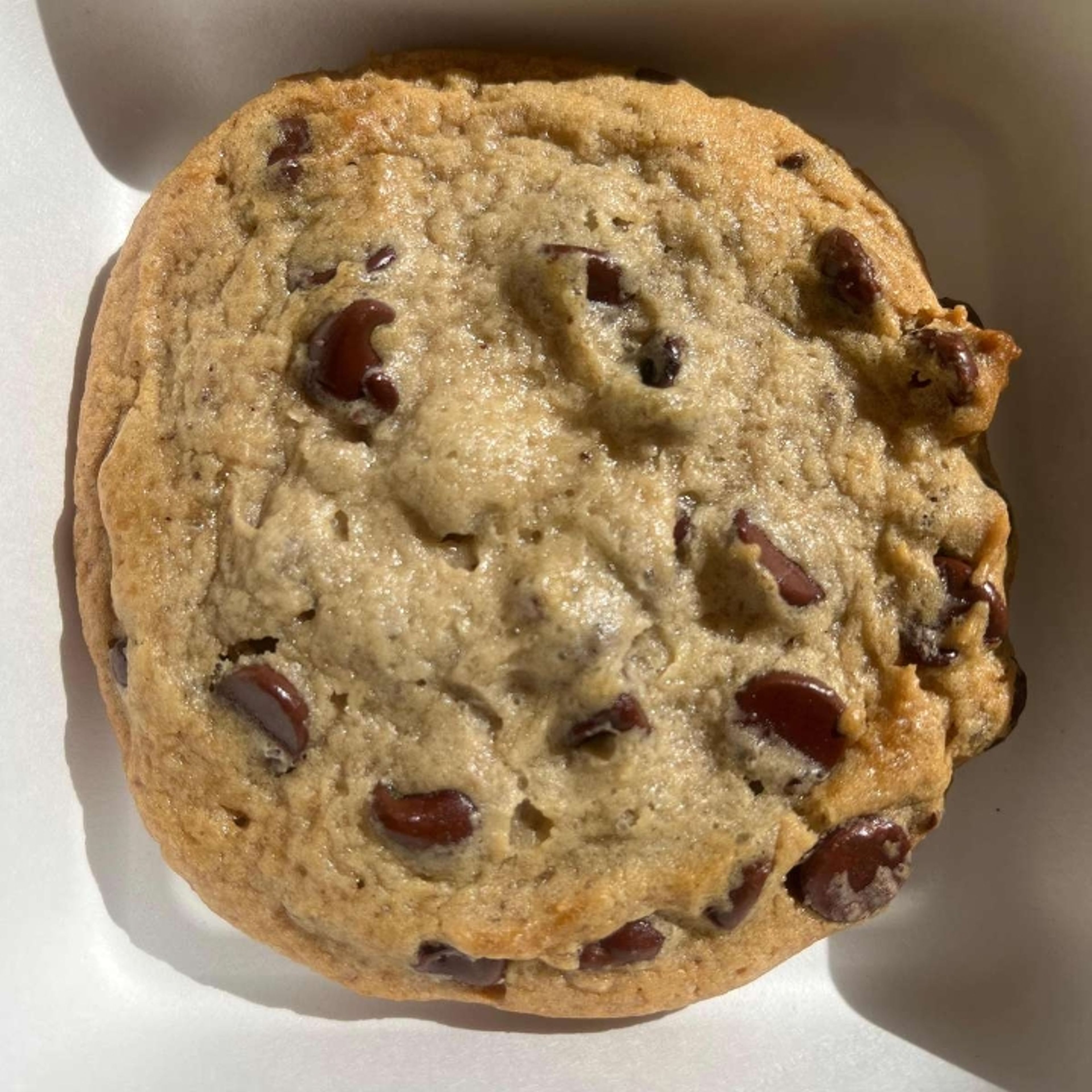 Chocolate Chip Cookie.