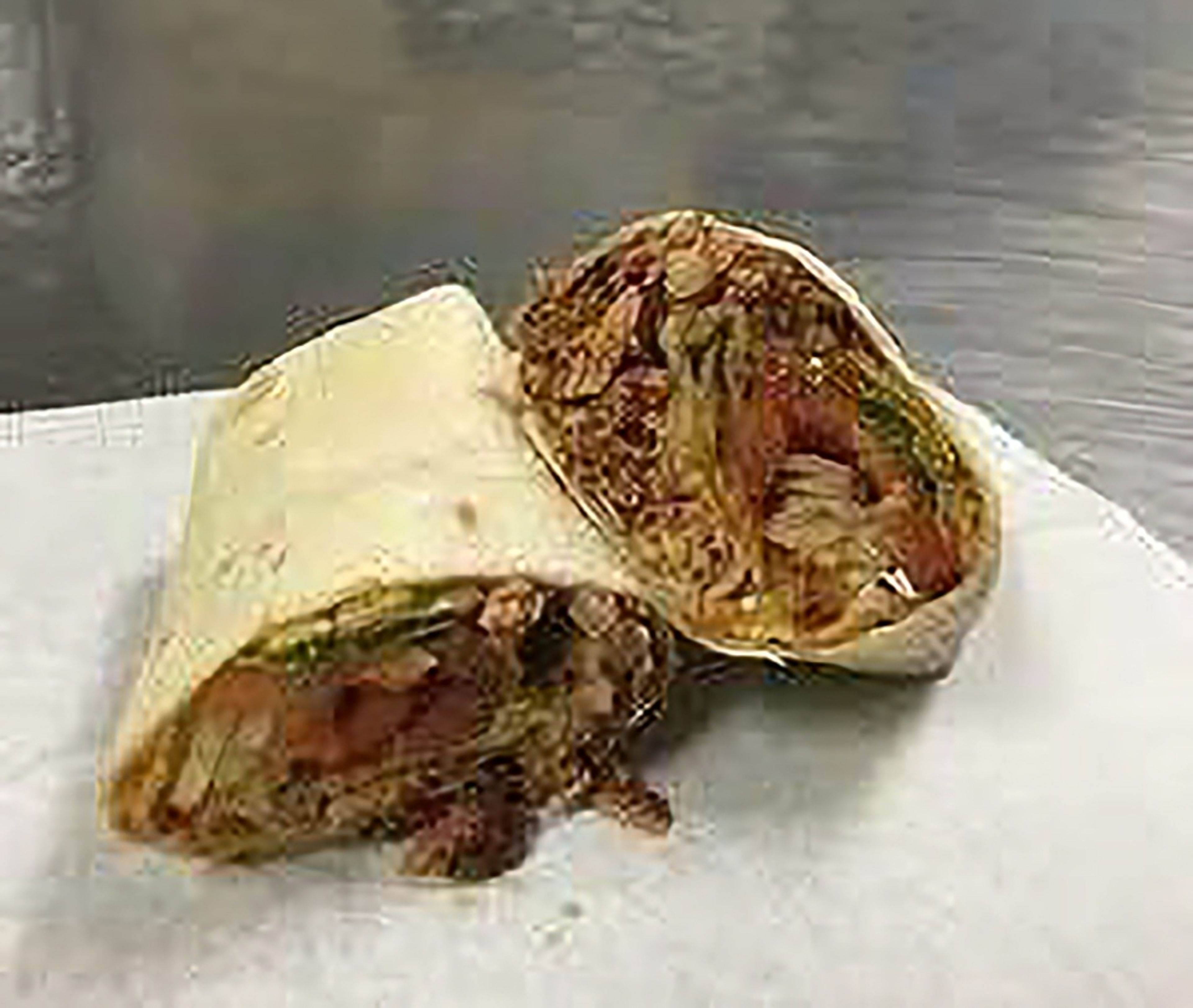 Chicken Wrap.