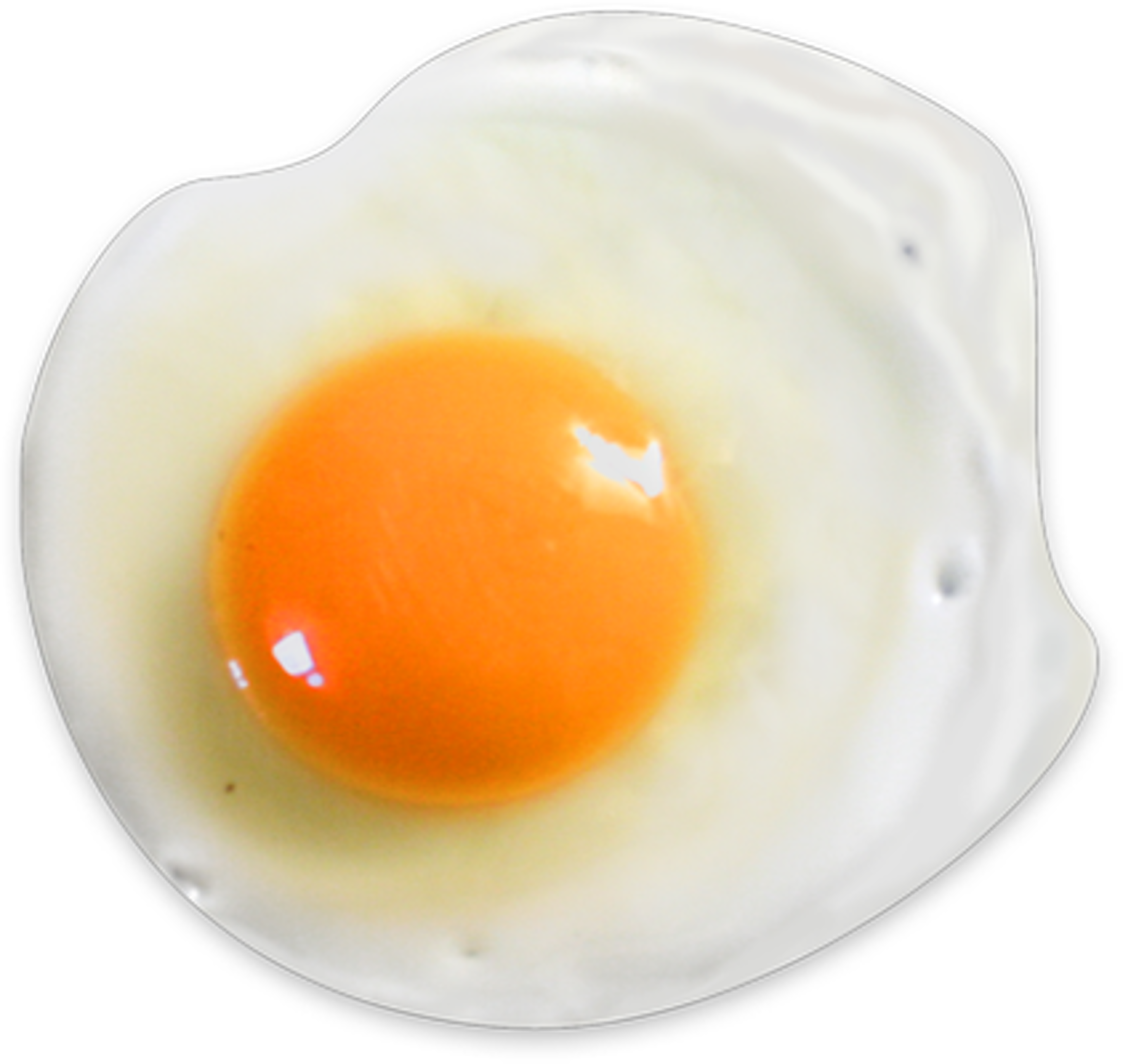 Side of Fried Egg.