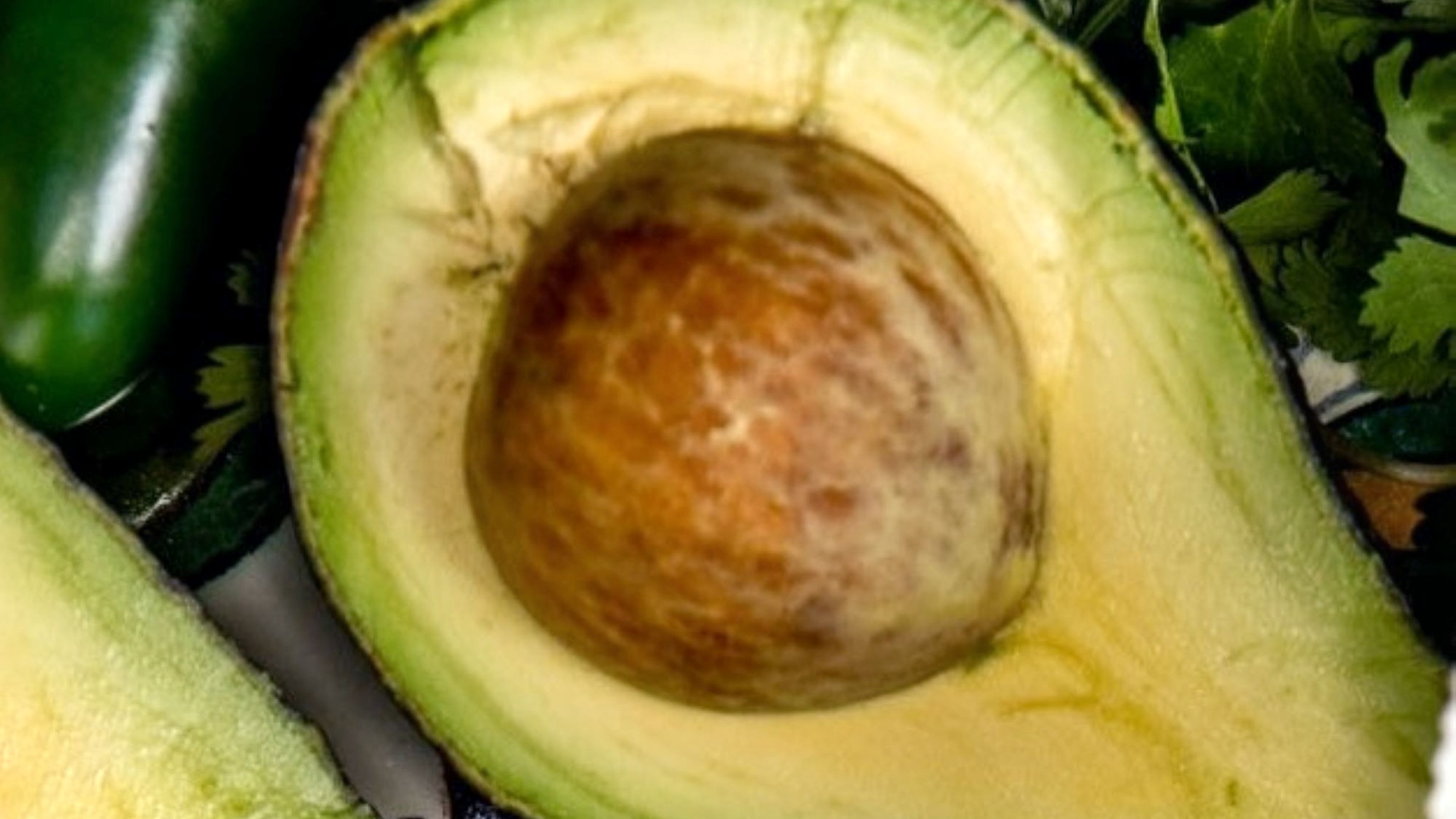 Avocado.