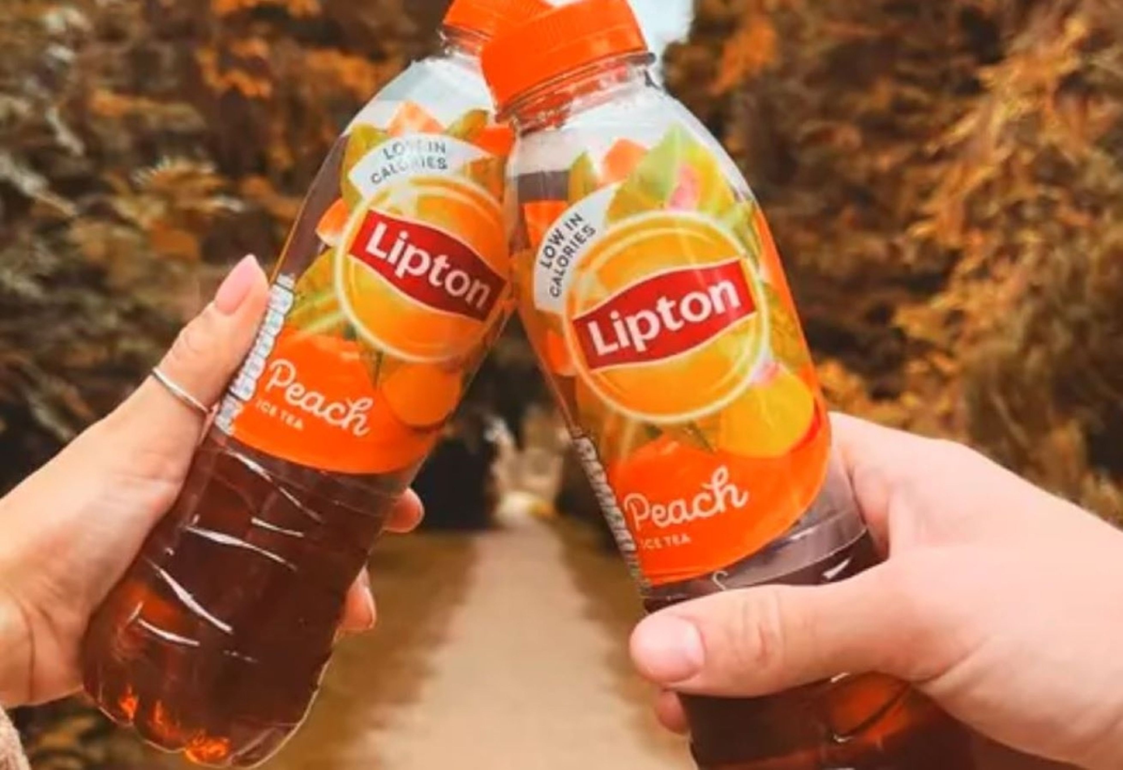 Iced Tea Bottle - Lipton/Gold Peak/Peace Tea.