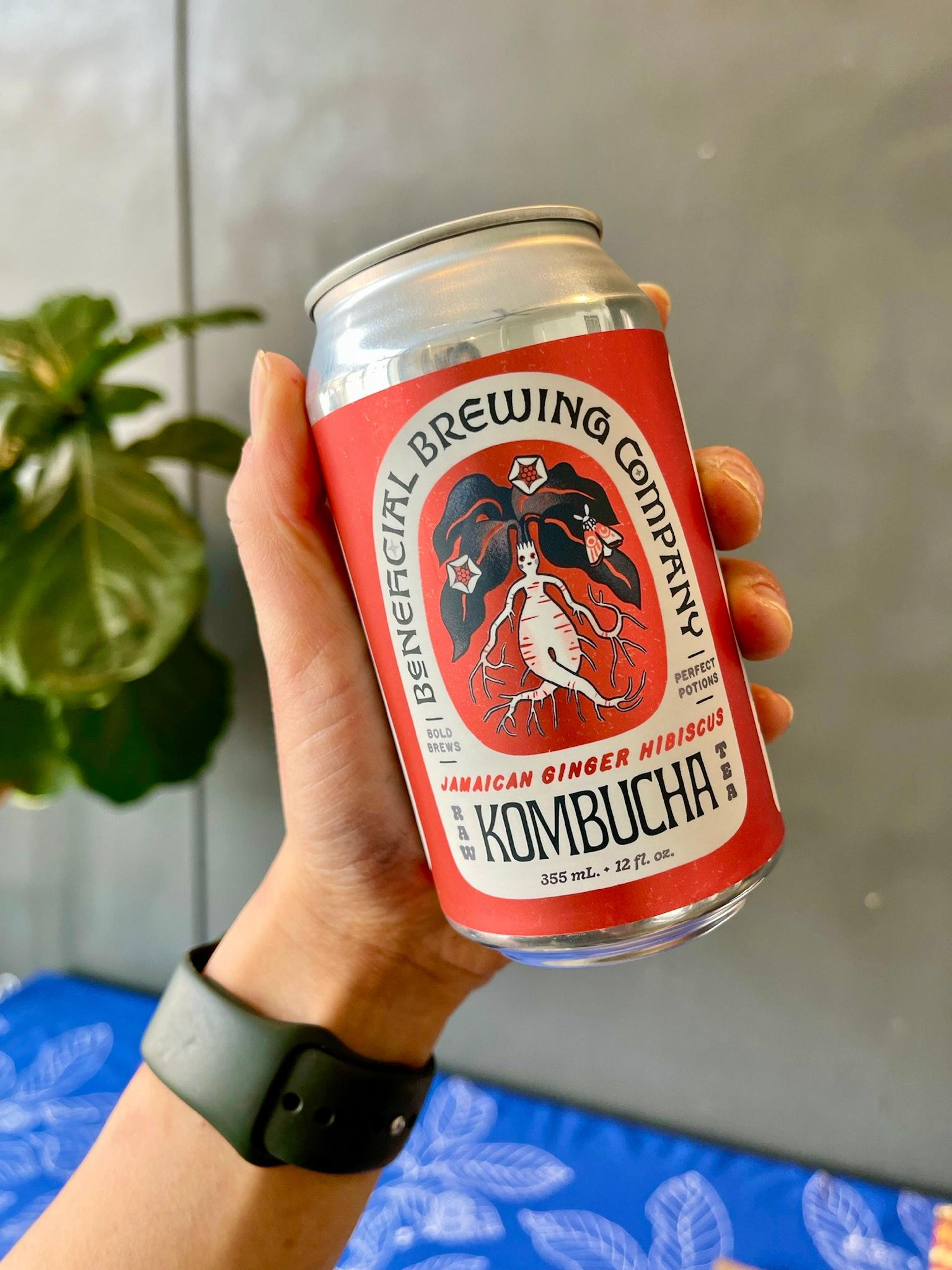 Beneficial Brewing Kombucha 12oz (Local, Non-Alcoholic).