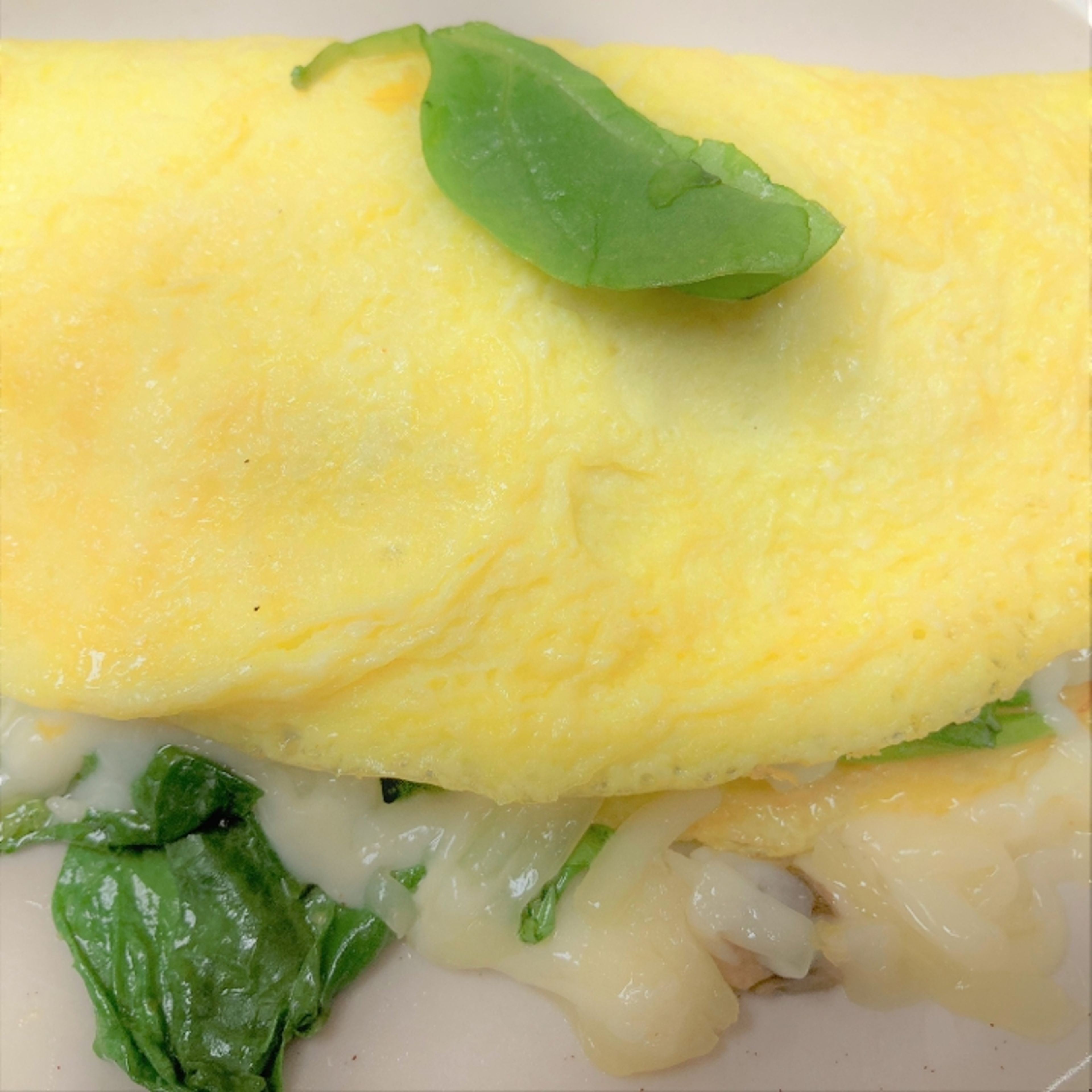 FLORENTINE OMELET.