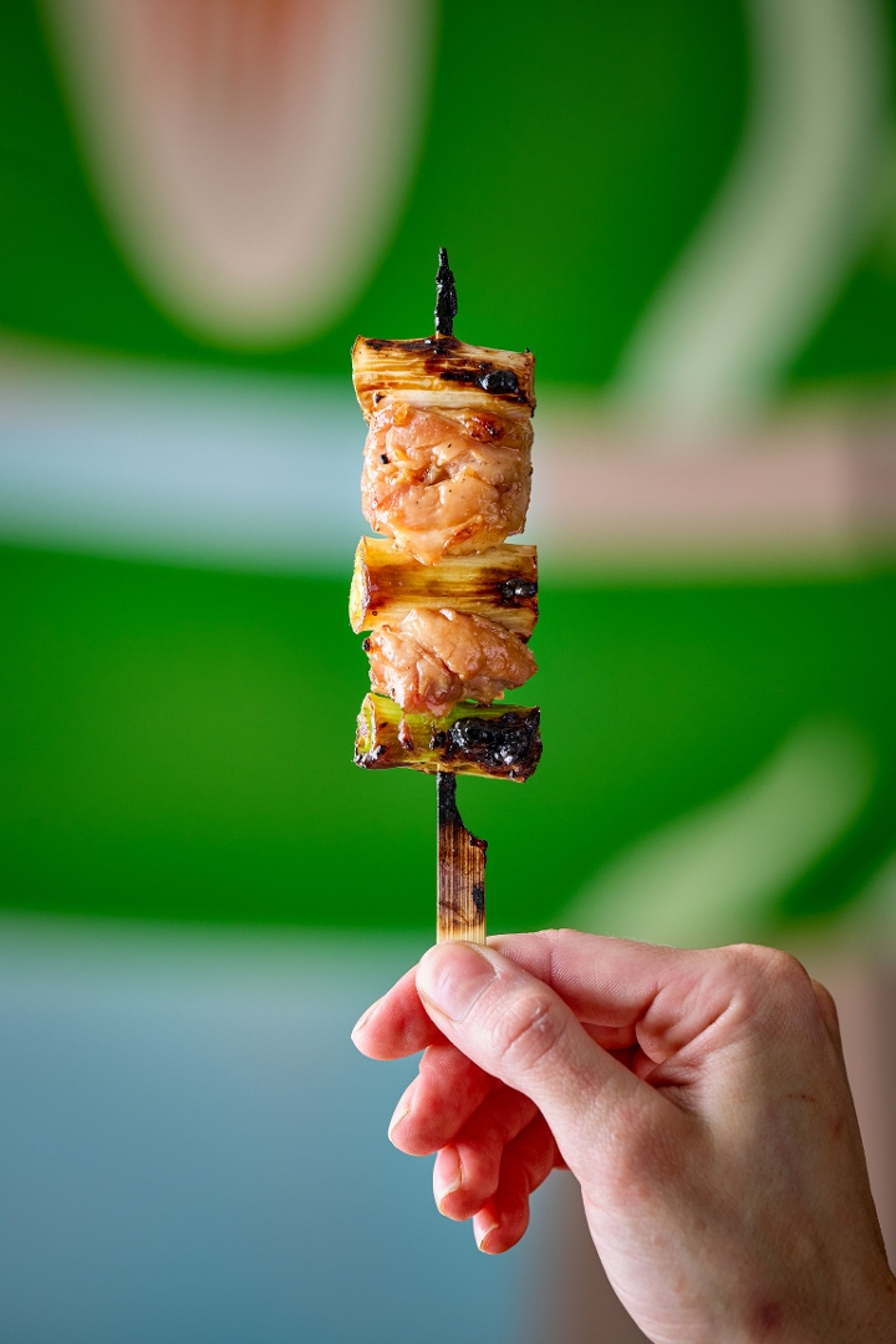 Chicken Leg & Negi Yakitori.