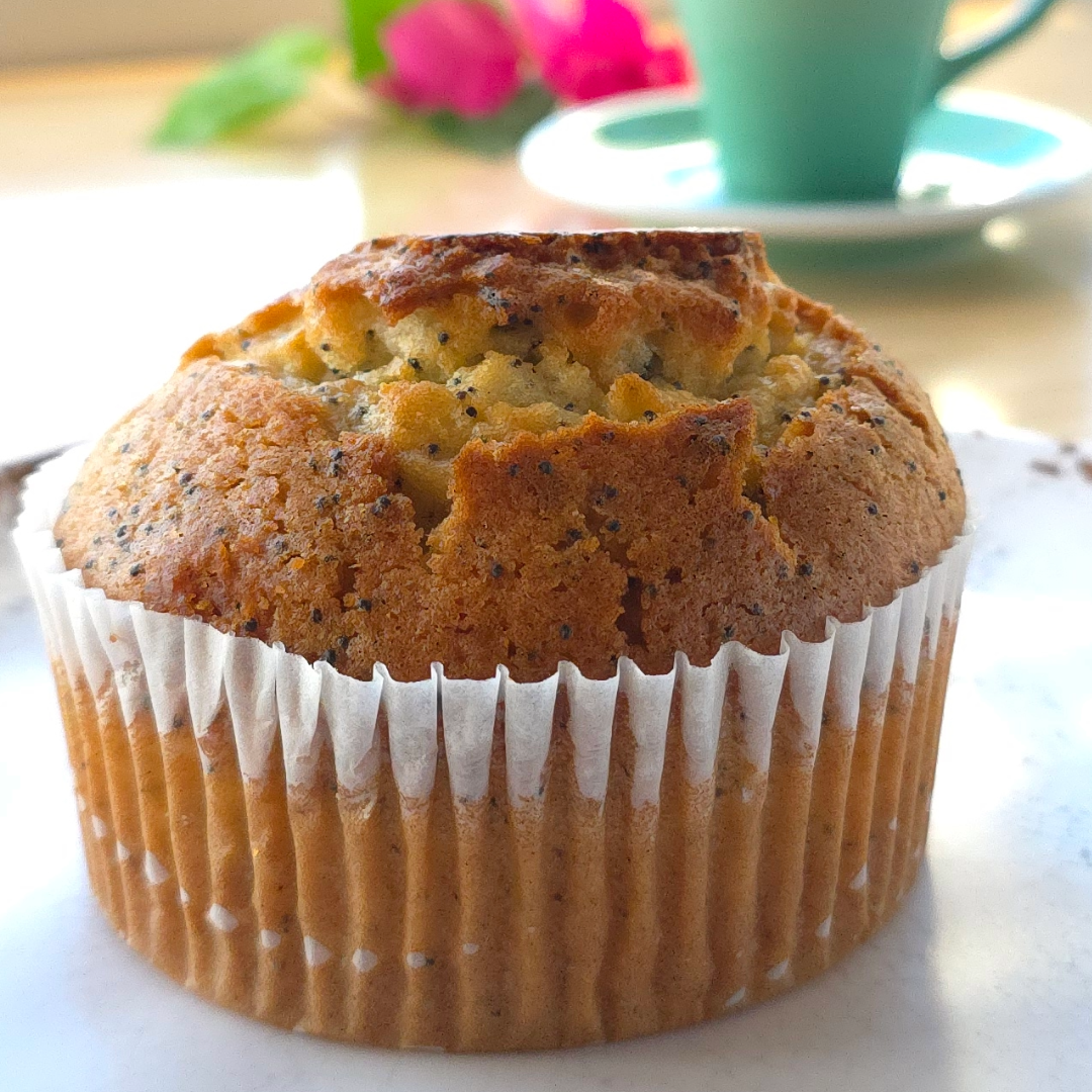 Poppy Seed Muffin.