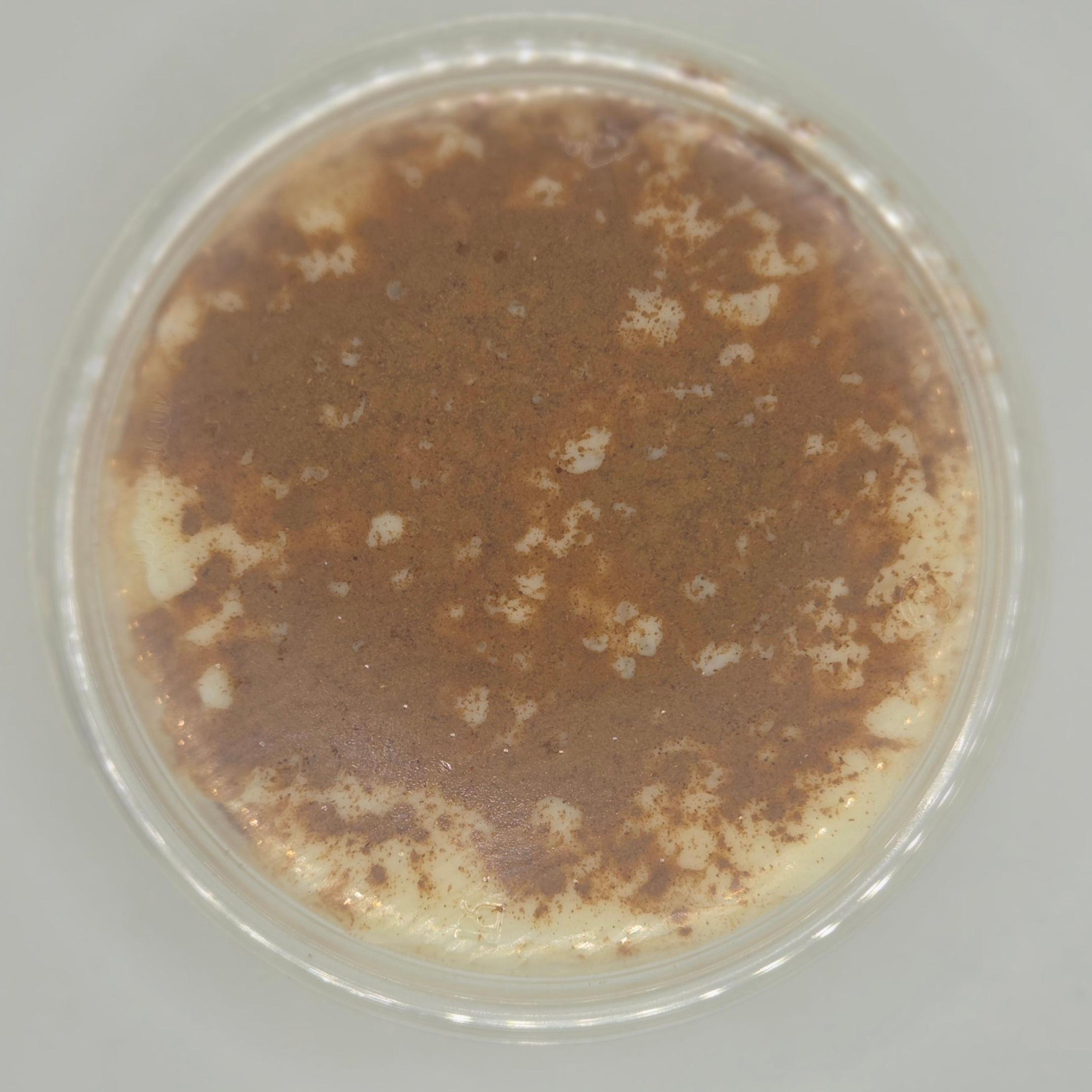 Cinnamon Rice Pudding.