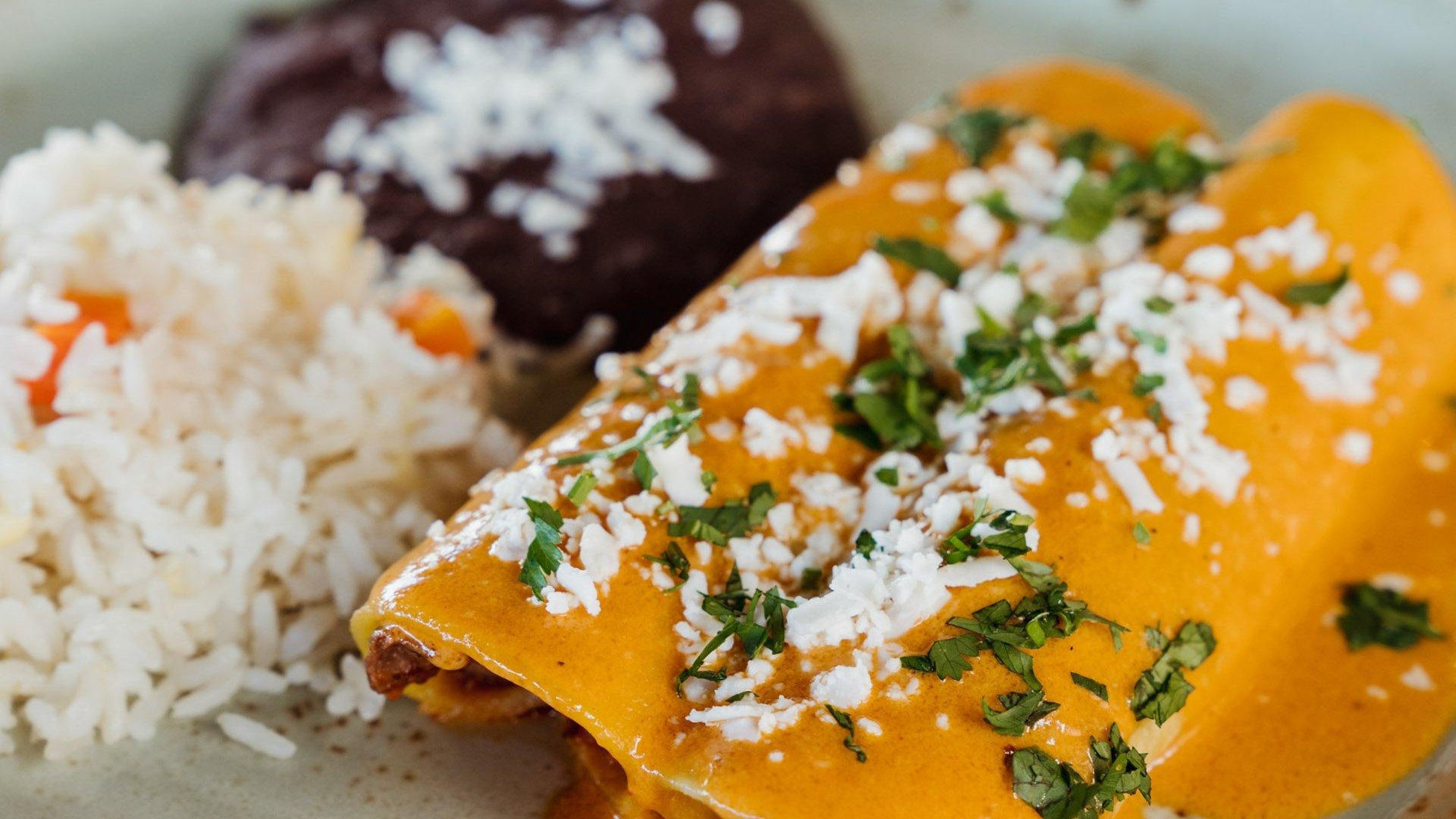 Short Rib Enchiladas