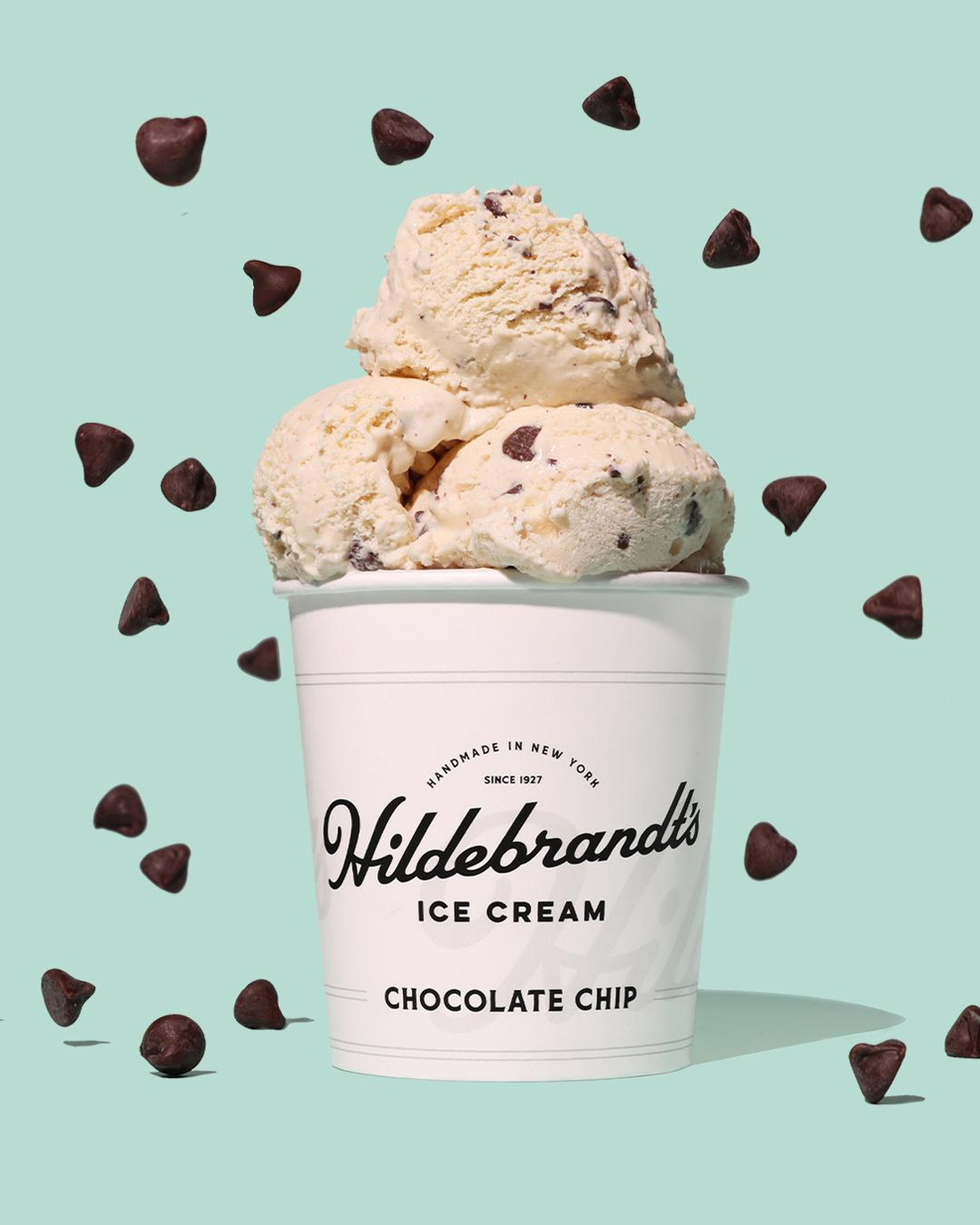 Chocolate Chip Pint.