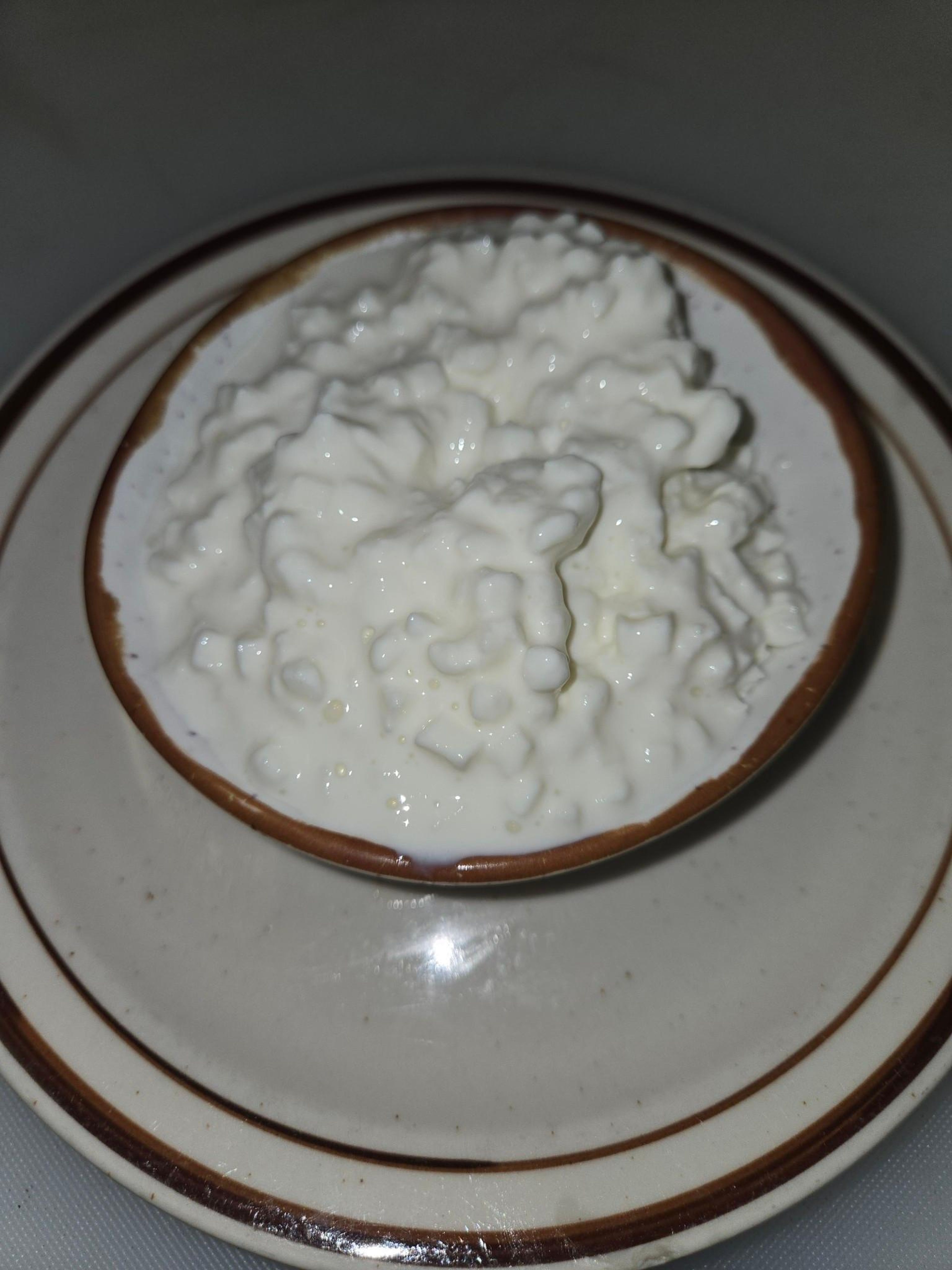 COTTAGE CHEESE.