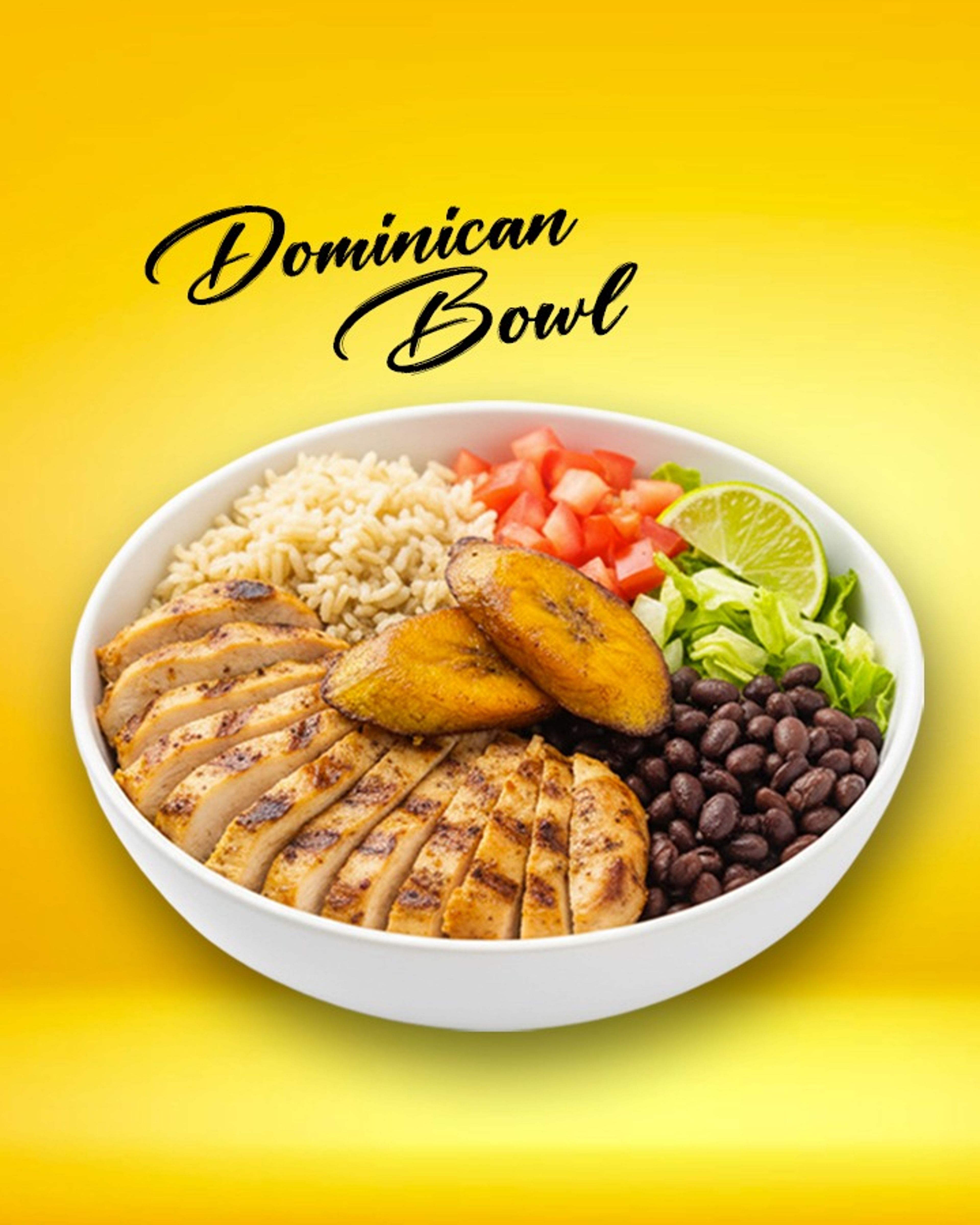 Dominican Chicken Bowl DS.