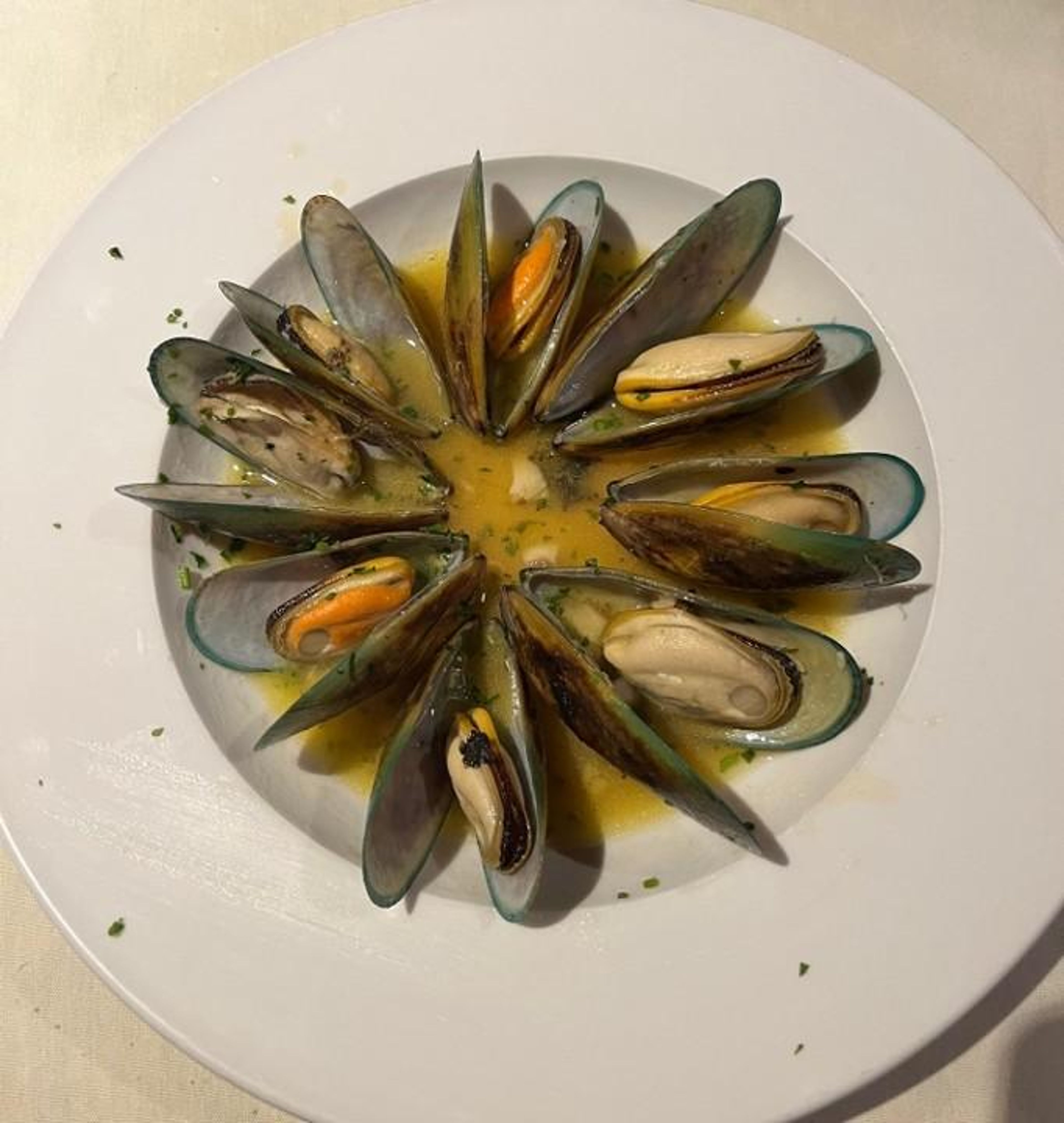 Mussels.