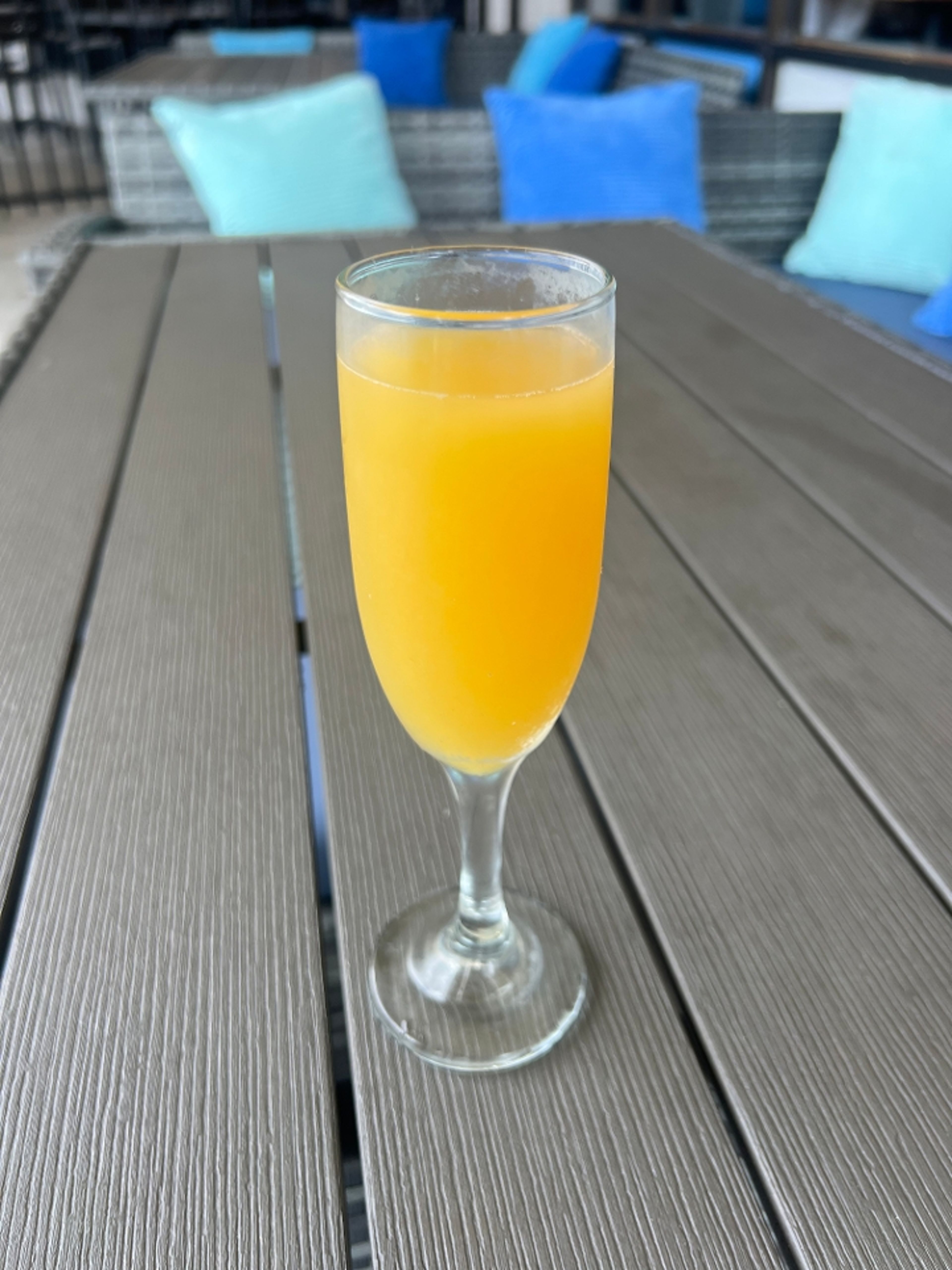 Mimosa.