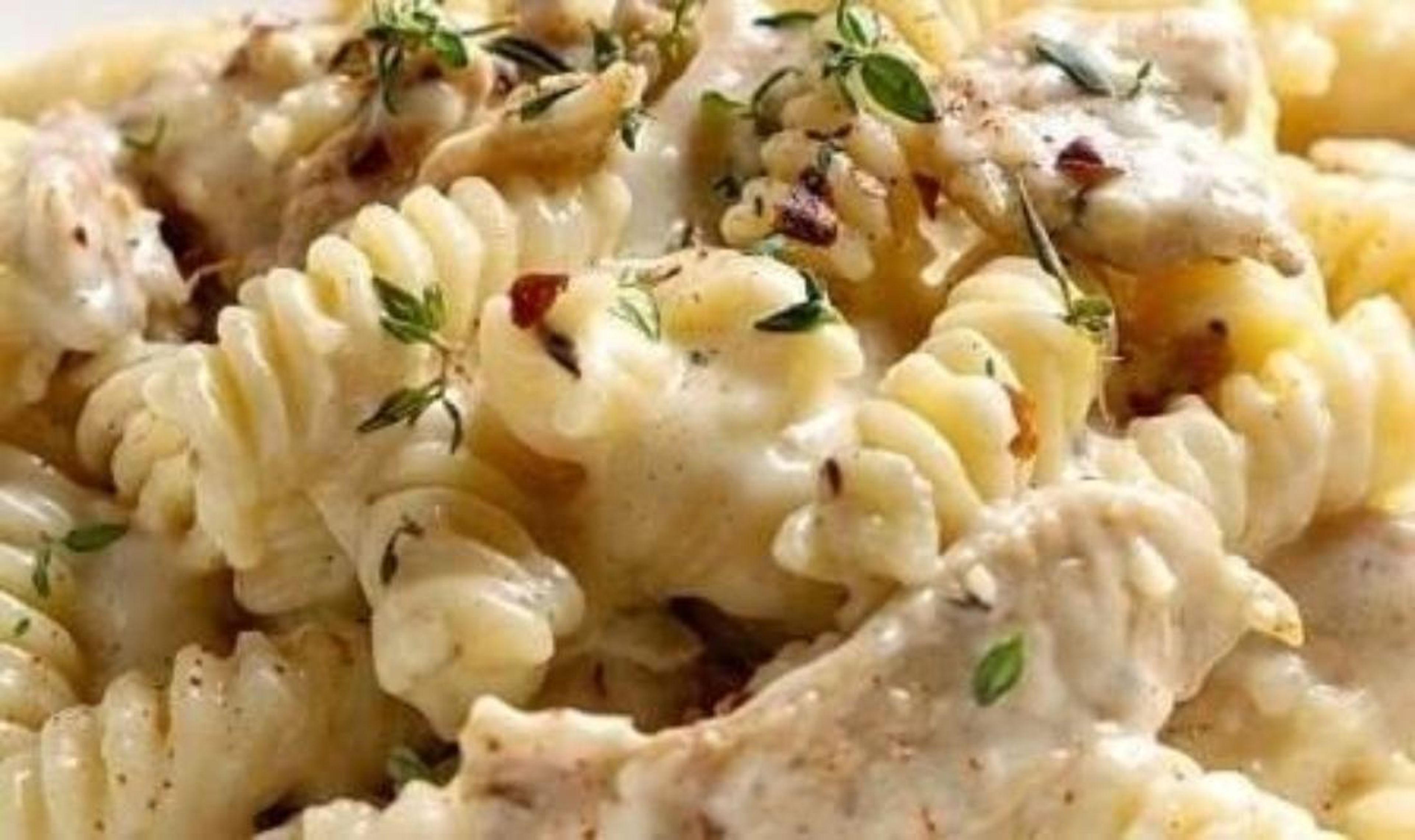 Chicken Alfredo.