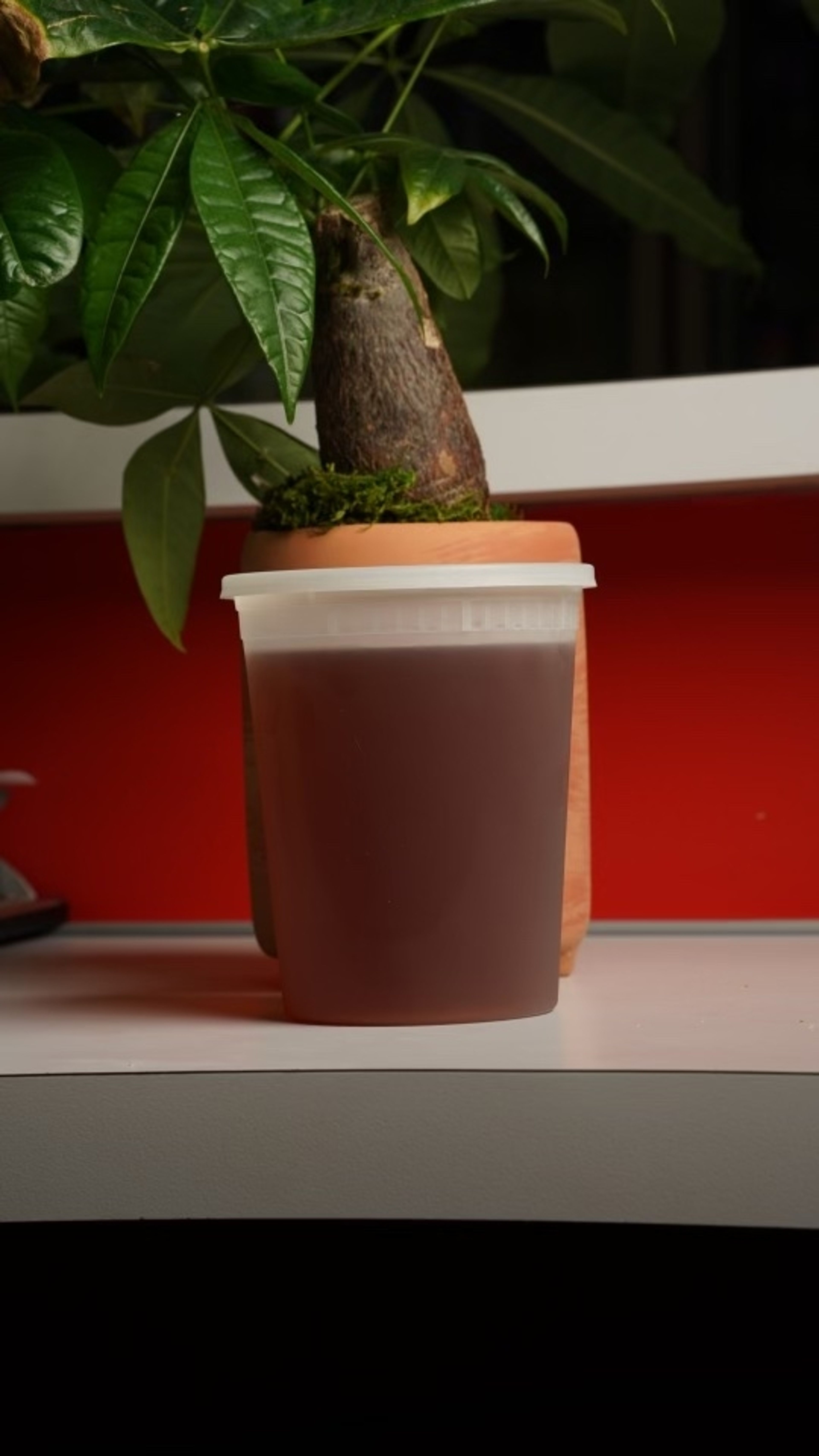 Selby's Homemade Half and Half.