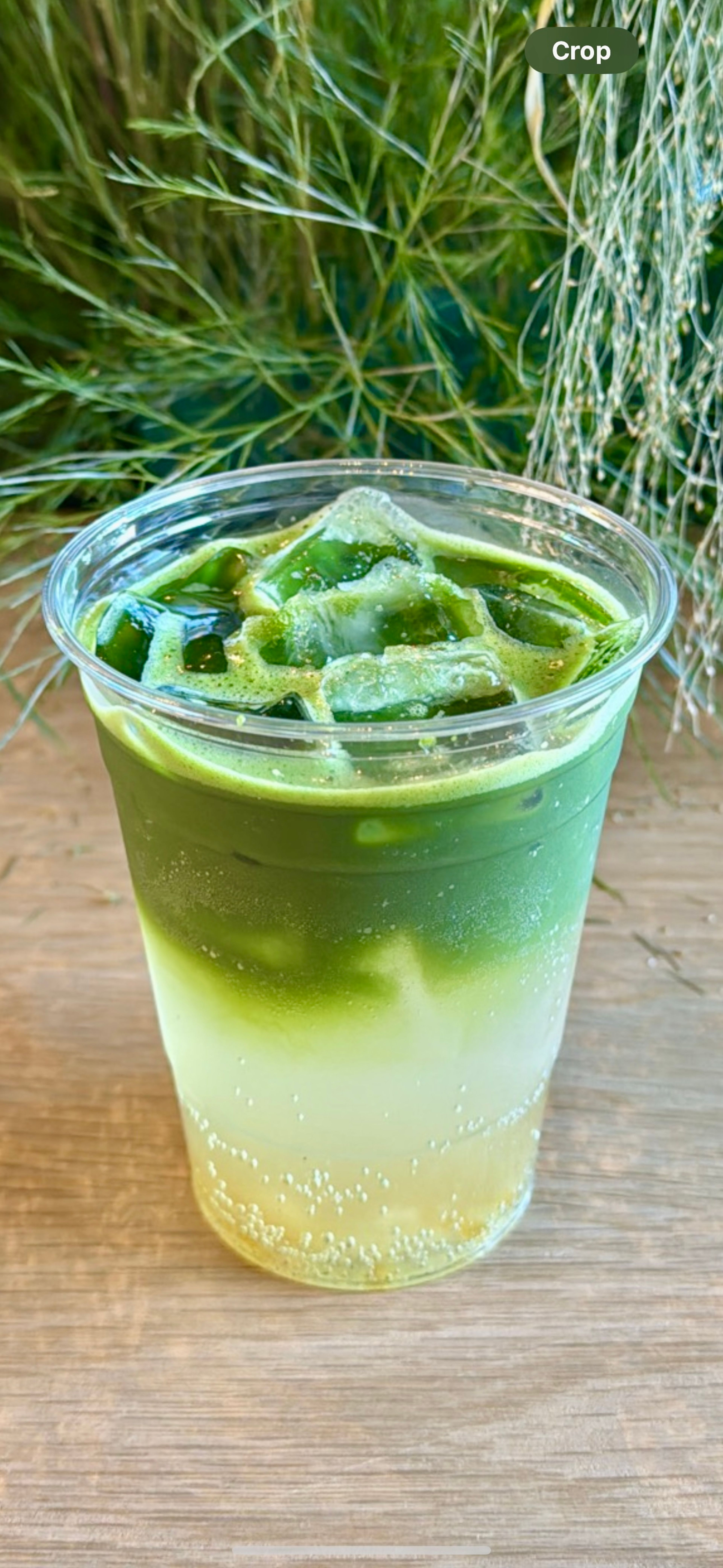 Yuzu Matcha Sparkling.