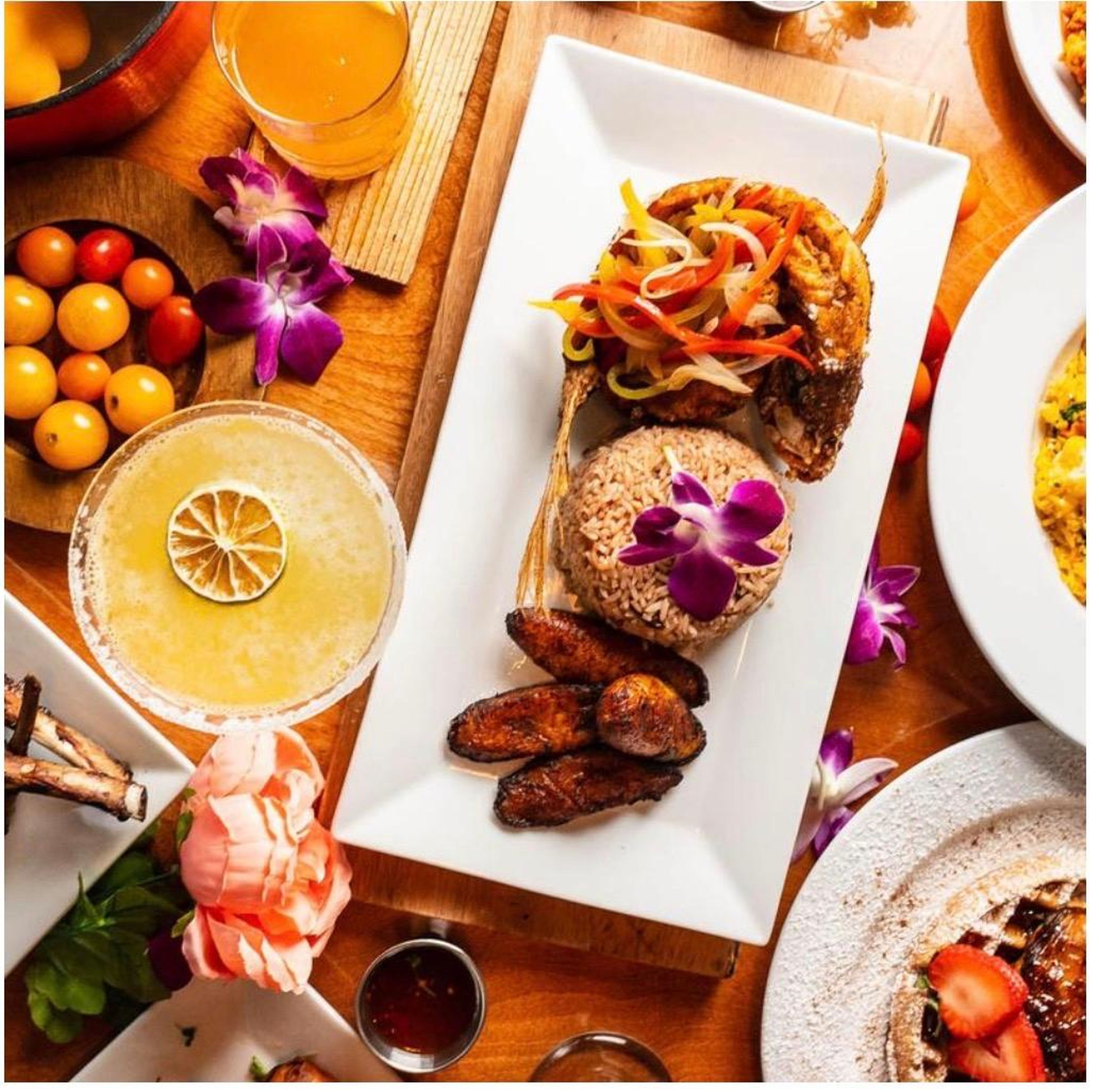 Wild Caught Snapper Fish.