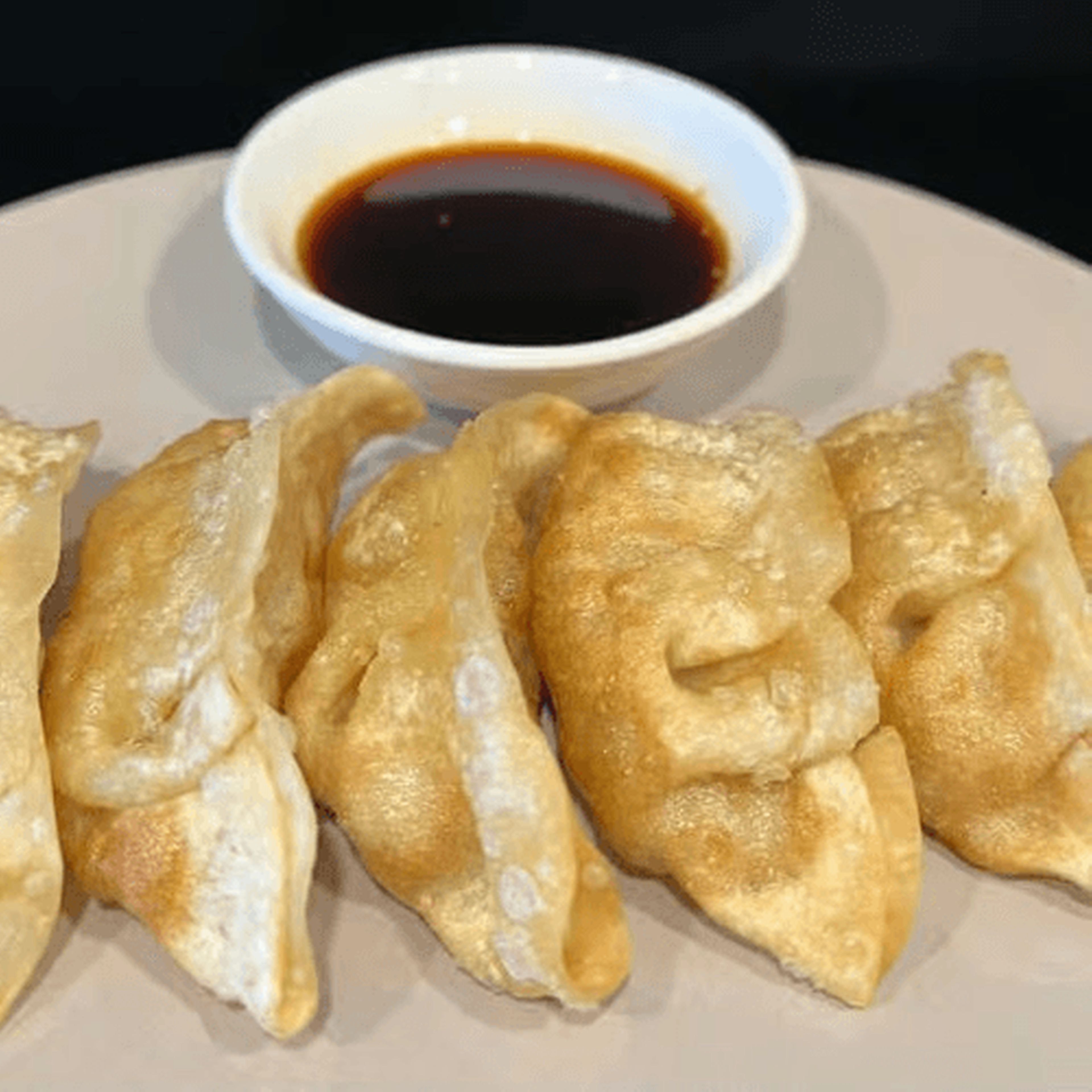 Chicken Dumplings (5pc).