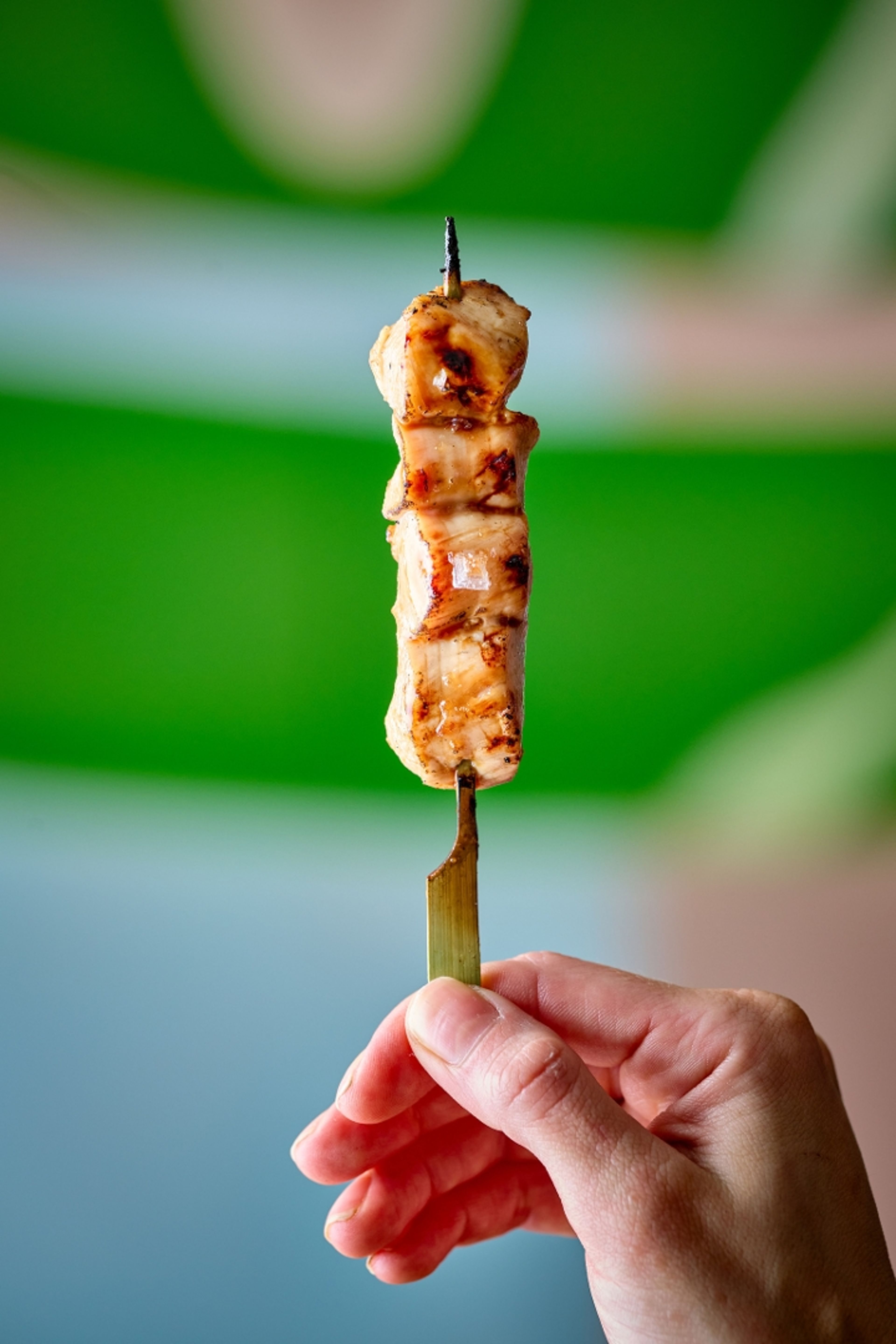 Chicken Breast Yakitori.