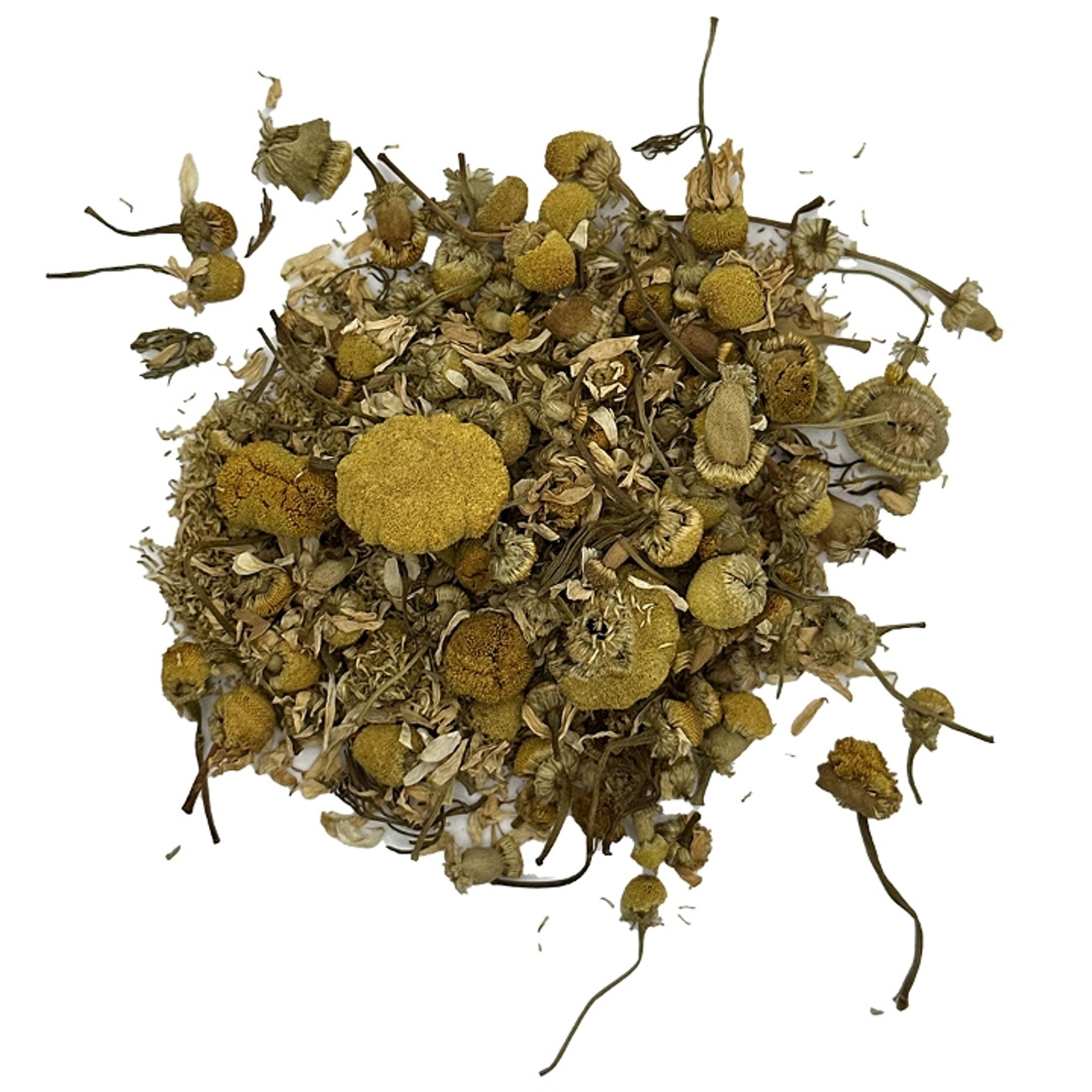 Egyptian Chamomile.